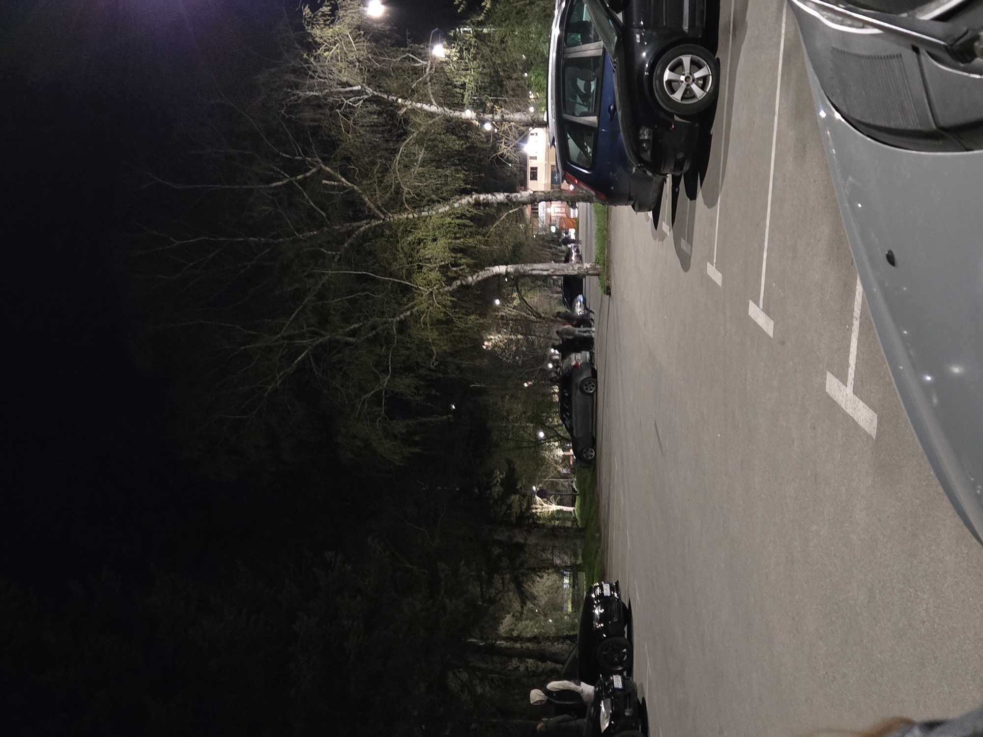The image shows a parking lot at night, possibly in an urban area given the streetlights visible in the distance. The parking lot is marked with white lines designating individual parking spaces. Several cars are parked in the spaces, varying in color from dark blue to gray. Trees line the far side of the parking lot, with bare branches visible against the dark sky. The trees appear to be illuminated from below, highlighting their trunks. Further down the row of trees, people are gathered, some possibly sitting or standing near what may be motorcycles or bicycles. The overall environment is dark, with artificial lighting providing the main source of illumination. The scene seems to capture a casual gathering or event taking place in the parking area at night.