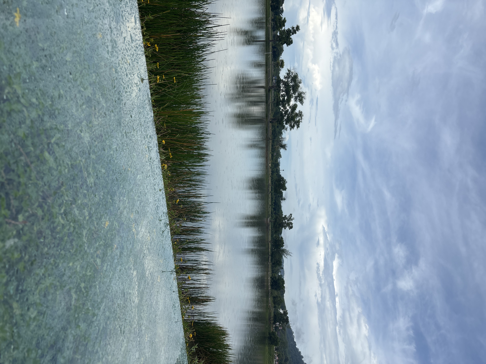 The image shows a landscape scene, likely taken from a low vantage point or ground level. The composition includes a reflective surface or object in the foreground, possibly wet or textured, occupying the left side of the frame.
To the right of the reflective surface, there is a strip of vegetation, possibly reeds or tall grass, interspersed with small yellow flowers.
Beyond the vegetation, a body of water is visible, extending towards the horizon. The water surface is reflective, mirroring the sky and the surrounding trees.
Along the far bank of the water body, a line of trees is present. These trees appear to be varied in size and species.
The sky is overcast with a mix of white and grey clouds.
In the far background, a slight elevation or hill can be discerned.
This scene could be in Choeng Thale, Thailand, given the context, although specific details like buildings or landmarks cannot be confirmed from the image.