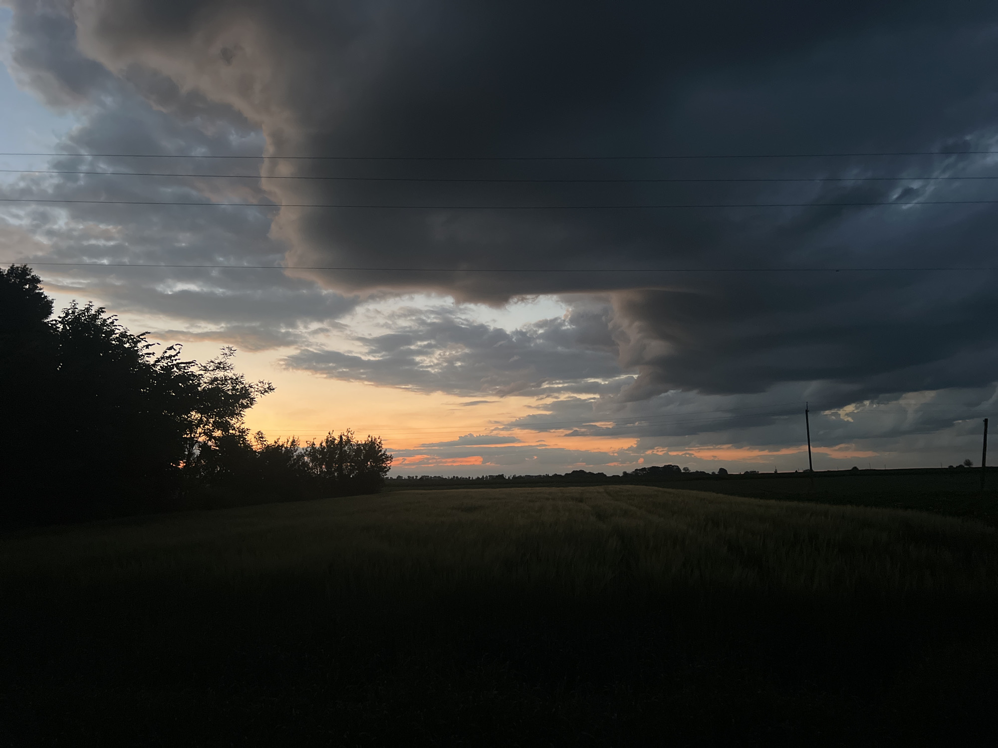 The image depicts a twilight scene in Zarudyntsi, Ukraine, featuring a dramatic sky with heavy storm clouds casting dark shadows over a rural landscape. A field of crops, likely wheat or barley, occupies the foreground, rendered in deep silhouette. In the mid-ground, a line of trees and bushes separates the field from the horizon, silhouetted against a band of orange and pink light where the sun has recently set. Power lines are visible in the upper portion of the image, crossing horizontally across the dark clouds. Two wooden utility poles stand in the distance, punctuating the flat horizon. The overall atmosphere is one of impending weather change, with the storm gathering on the horizon. There are no people or animals visible in the image.