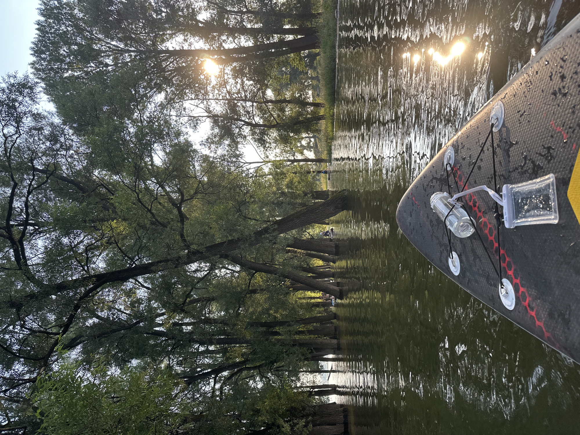 A first-person perspective shot taken from a paddleboard gliding through a flooded forest. The water is murky and reflects the sunlight, creating a shimmering effect. Trees, their trunks submerged in water, line the banks and extend into the water, their branches forming a dense canopy overhead. A few other paddleboarders can be seen in the distance, navigating the flooded landscape. The sun is setting, casting a warm glow over the scene. The image appears to capture a serene and picturesque moment on the Belaya River near Ufa, Russia, likely during a period of high water levels.