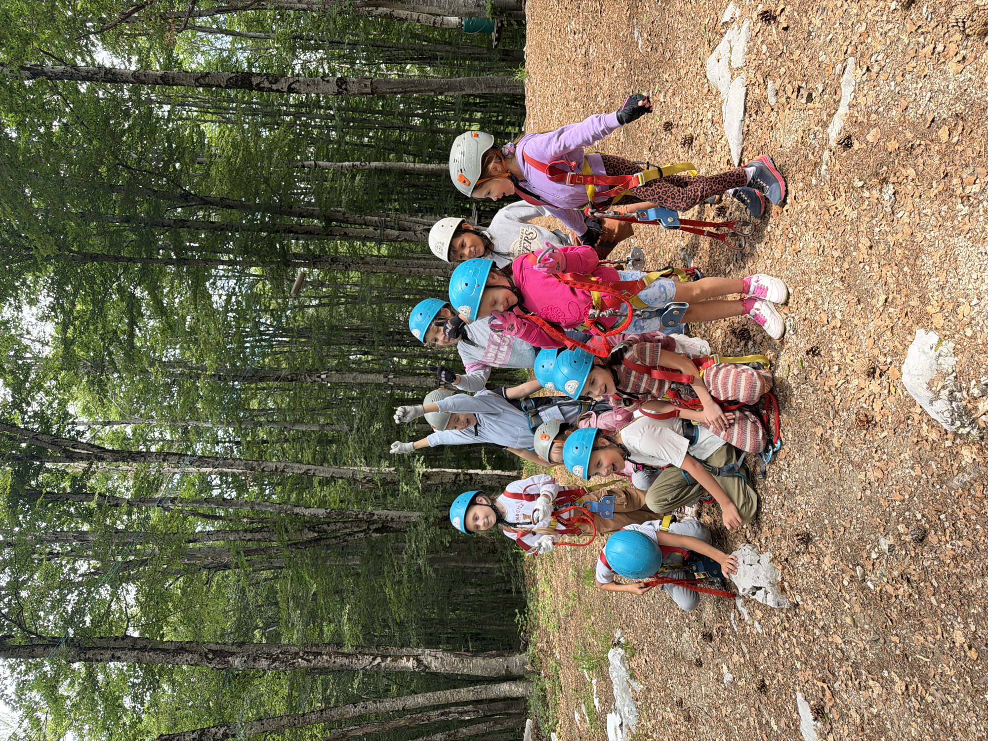 This media file captures a cheerful group of approximately ten children participating in an outdoor adventure activity in a forest setting, specifically identified as Mali Bostur, Montenegro.
The primary subjects are the children, who are all equipped with safety gear. Each child wears a protective helmet, with colors including blue, white, and grey. They are also fitted with full-body harnesses featuring red, blue, and yellow straps and multiple carabiners, indicating preparations for activities such as a ropes course, zip-lining, or climbing. Their clothing is casual and colorful, including purple, pink, grey, and white tops. Visible text includes "ERS" on a grey shirt, "CAMP" partially on a purple shirt's strap, and "RAVEL" on a white shirt.
The scene is set amidst a dense forest characterized by numerous tall trees with light-colored bark and abundant green foliage, suggesting a lush environment. The forest floor is visible, covered with dirt, dry leaves, pinecones, and scattered light-colored rocks.
The activity appears to be a group outing or camp where the children are engaged in a supervised outdoor adventure. They are mostly arranged in a slightly staggered line, with some kneeling or sitting, and several are smiling or looking engaged, conveying a sense of excitement and enjoyment. One child is notably captured with their arms raised in an energetic pose.
Notable details include the bright, clear daytime lighting, suggesting good weather conditions for outdoor activities. The vibrant green of the trees contrasts with the earthy tones of the ground and the colorful gear of the children, highlighting their presence within the natural landscape. The overall emotion conveyed by the children is positive and enthusiastic.