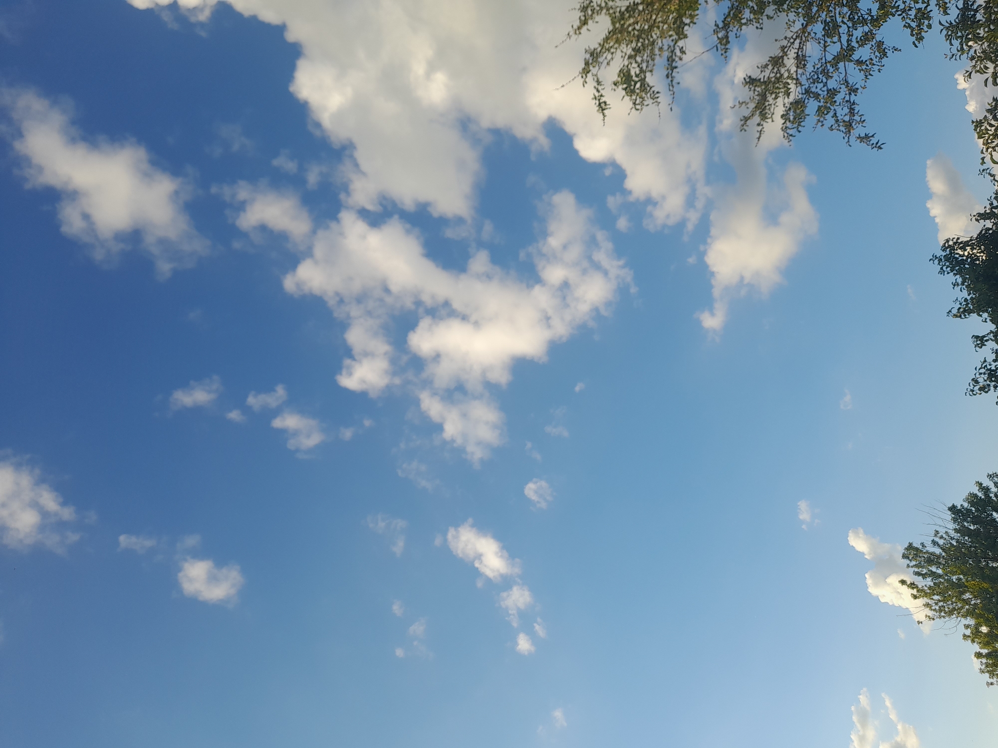 The image depicts a clear blue sky with scattered white clouds, suggesting fair weather. The perspective is looking upwards, with the tops of trees framing the scene from the right and top edges. These trees appear lush and green, indicating it is likely summertime or late spring. The sunlight suggests it is daytime, possibly late afternoon or early morning due to the angle and softness of the light. There are no people or man-made objects visible in the frame, focusing the scene entirely on the natural elements of the sky and foliage. The overall impression is one of a peaceful and serene outdoor environment. The location context is Kliushnykivka, Ukraine. There is no visible text in the image.