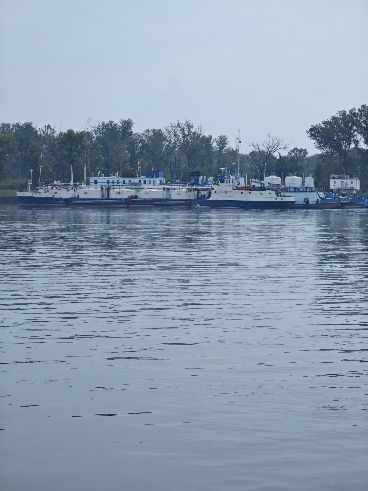 The image depicts a view of the Ермолаевский Затон in Russia. Several boats are docked along the water's edge, with a line of trees forming the background. The boats appear to be a mix of barges and other utility vessels, with some displaying white and blue paint. The water is calm, with ripples creating a textured surface. The sky is overcast, contributing to the muted color palette of the scene. No people are visible in the image.