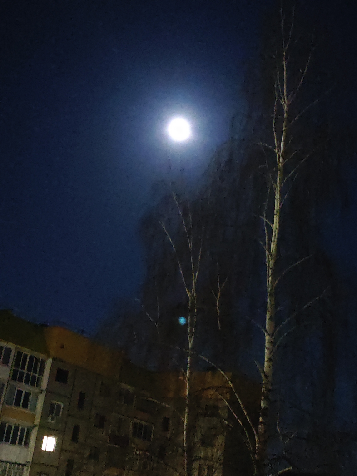 A nighttime image shows a brightly lit moon in a dark blue sky. In the foreground, silhouetted branches of bare trees reach toward the sky. To the left, a multi-story building is visible, with one window illuminated. The image captures a dark and quiet scene, possibly in the city of Марковский, Russia.