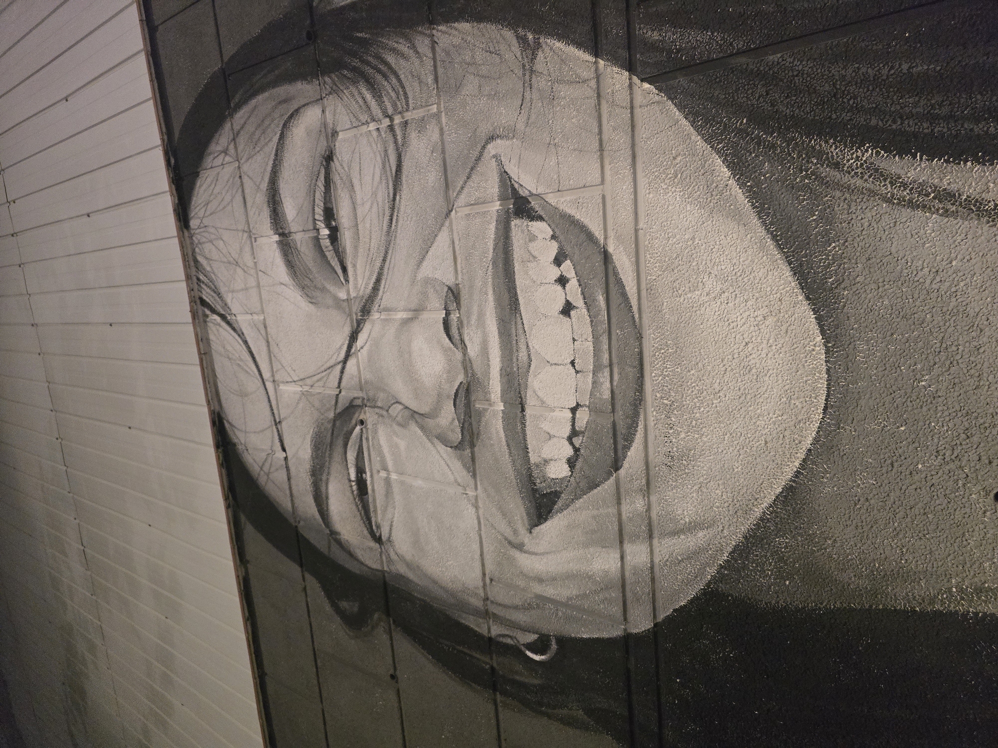 The image displays a large-scale, black and white mural of a smiling face, presumably a woman, painted on a textured wall. The artwork is rotated 90 degrees counter-clockwise, showing the face looking upwards with a broad, joyful smile that reveals her teeth. Her eyes are open, and dark, flowing hair is depicted around her face.
The mural uses varying shades of grey, black, and white to create depth and highlight features. The texture of the underlying wall is distinctly visible through the paint, giving the artwork a granular, almost relief-like quality, particularly in the lighter areas of the face. This texture is emphasized in the provided crops, showing the unevenness and rough surface of the painted wall.
To the left of the mural, a lighter, ribbed wall is visible, suggesting a structured environment like a tunnel or underpass. The lighting appears artificial, casting some highlights on the painted surface. No specific activity is taking place other than the display of the street art. The emotion conveyed by the prominent smile is one of happiness or amusement. No visible text is present in the image. The location context provided indicates this mural is in Cornellà de Llobregat, Spain.