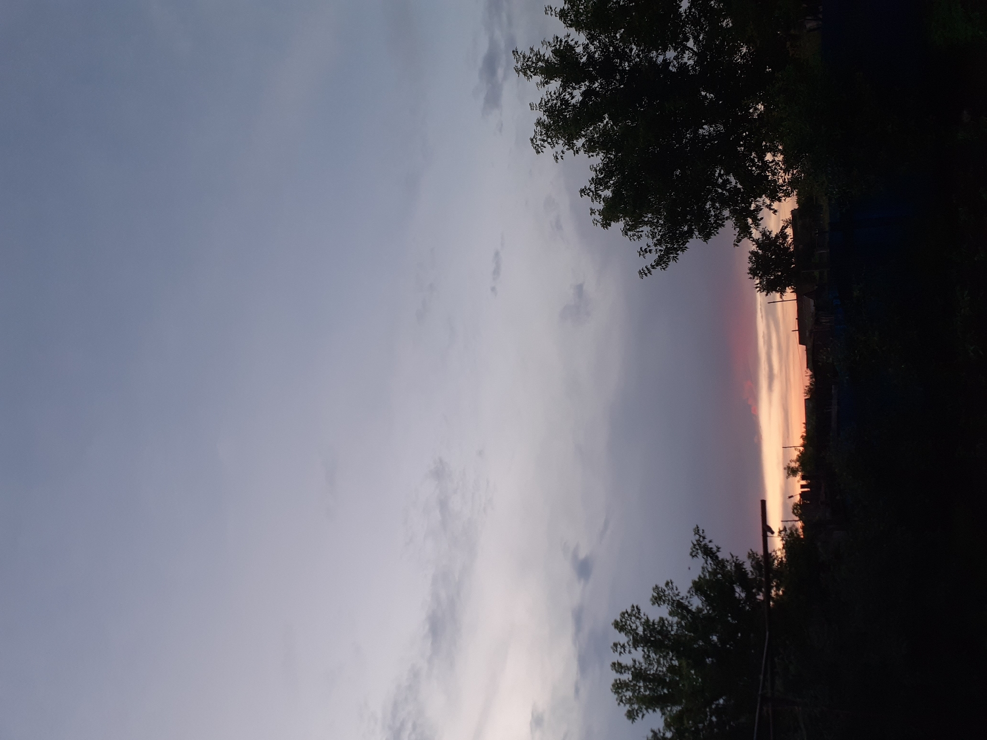 The image captures a twilight scene in Nikolaevka, Russia, with a vast, cloudy sky dominating the upper portion. The clouds are a blend of gray and purple hues, with hints of orange and pink near the horizon, suggesting the last light of the setting sun. Silhouetted against this sky are the dark outlines of trees on the left and right sides of the frame, framing a low-lying landscape. In the distance, the silhouettes of buildings and structures are visible, indicative of a rural or semi-rural settlement. The foreground is filled with dark, indistinct masses of foliage, likely bushes and trees, also rendered as black silhouettes. There are no people or visible activity depicted in the image.