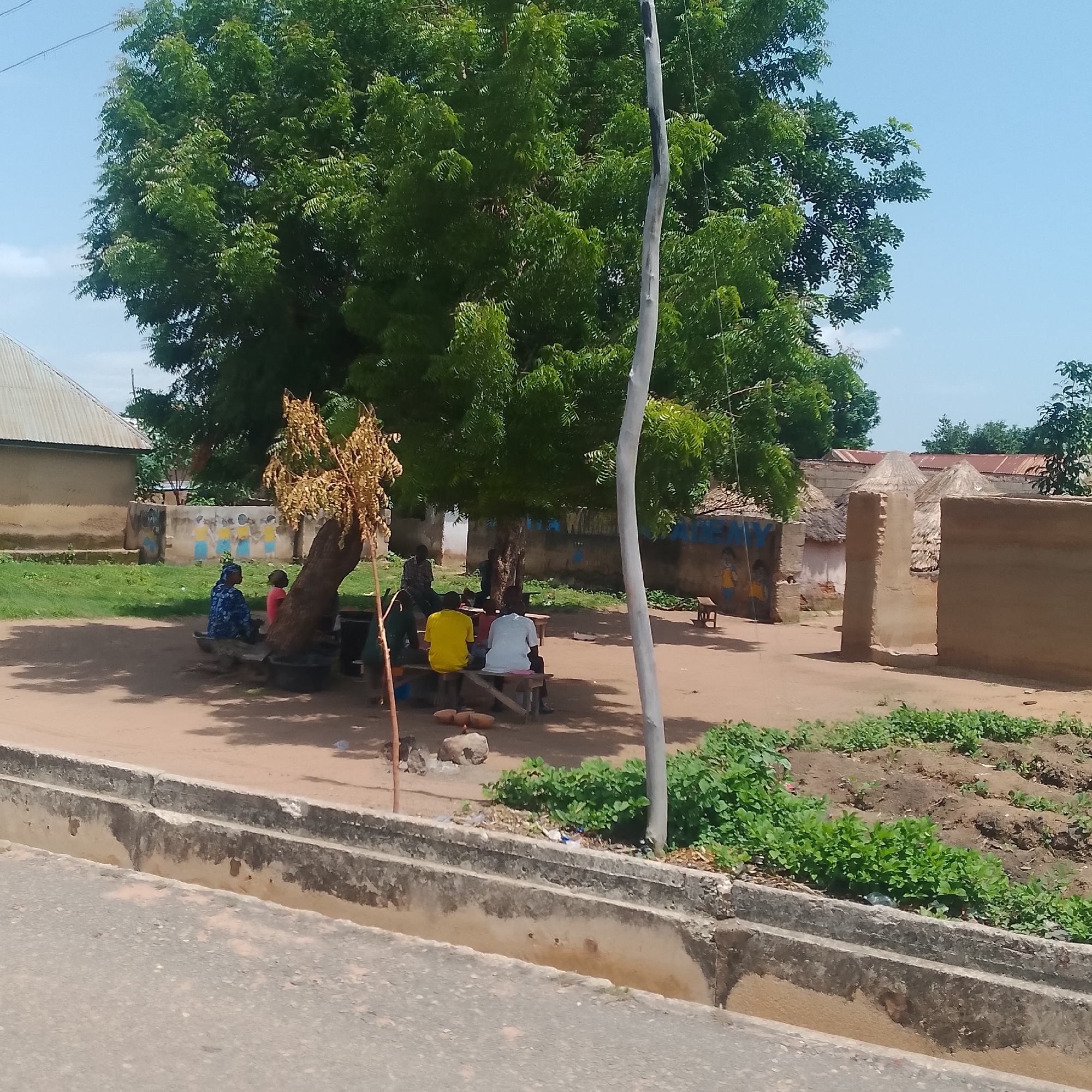 The image depicts an outdoor scene in a village setting, likely in Jalingo, Nigeria, under a clear, bright sky suggesting daytime with good weather. The foreground features a paved road with a concrete drainage channel, showing signs of wear and tear. Beyond the road, a dirt path leads into a communal area shaded by a large, leafy tree.
Several people are gathered in the shade of the tree. Two individuals, one wearing a yellow shirt and another a white shirt, are seated on a wooden bench, facing away from the camera. Further to the left, another person in a blue and white patterned garment is seated on a bench, with a child or another person next to them. The people appear to be engaged in casual conversation or resting, exhibiting a relaxed atmosphere.
In the background, traditional structures with thatched roofs and mud walls are visible, indicating a rural or semi-rural environment. One building has a corrugated metal roof. The walls of some structures are decorated with colorful murals, including depictions of people, adding a touch of artistry to the scene. A dry, bare tree stands prominently near the seated individuals, contrasting with the lush greenery of the larger tree.
The overall impression is one of community life, with people congregating in a shared space under the shade of a large tree, a common sight in many warm climates. The environment appears to be a place where daily activities take place outdoors, facilitated by the natural shade and communal gathering spots.