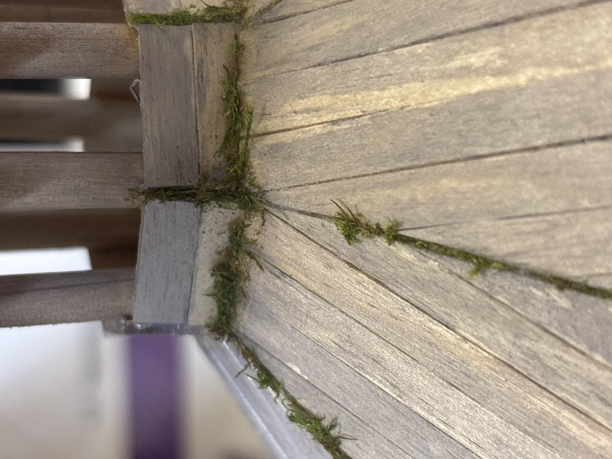 The image shows a close-up view of a model structure made from thin wooden slats, resembling a roof or wall. The slats are arranged in a fan-like pattern. Patches of green moss-like material are attached along the edges and in the crevices between the slats. Part of the model's structural frame is visible on the left, also made of wood. In the background, out of focus, there's a hint of purple coloration. There is no information to identify the location in Perm, Russia.