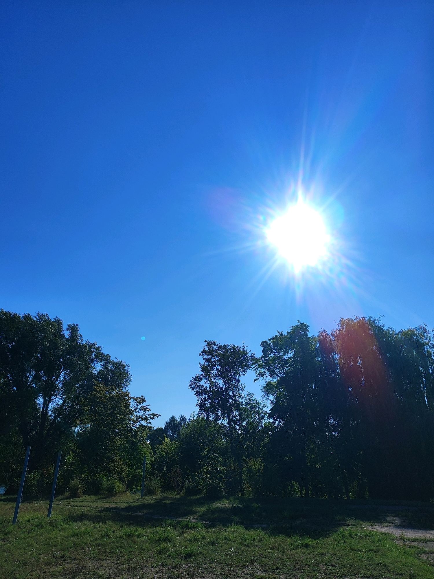 The image depicts a sunny day with a bright sun in a clear blue sky. In the foreground, there is a grassy area with some dirt patches, bordered by a line of trees. The trees vary in density and foliage, with some appearing as willow trees and others as deciduous trees. The overall setting suggests an outdoor park or natural area. The location is identified as Bila Tserkva, Ukraine. There are no people or specific actions visible in the scene.