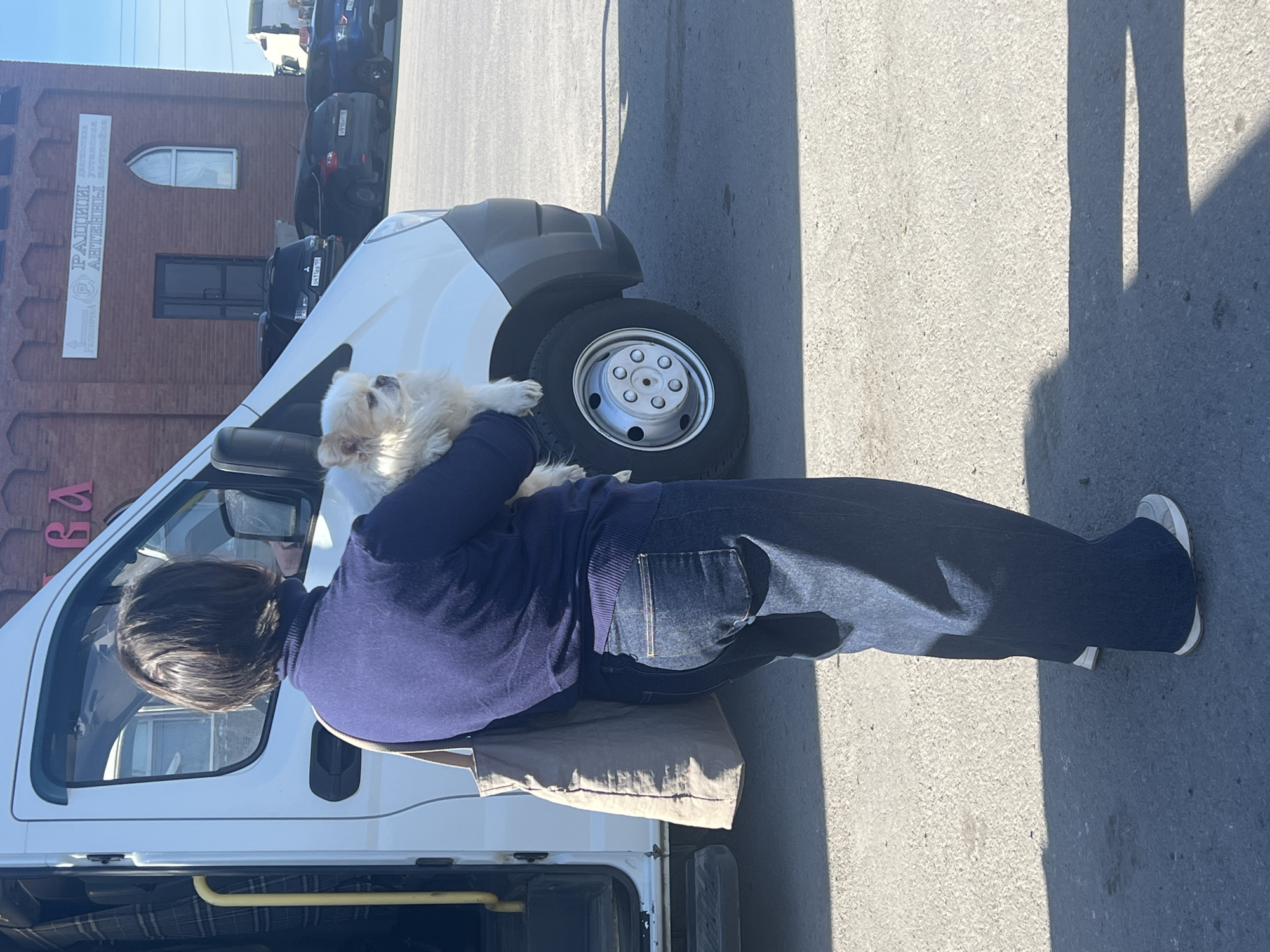 A person wearing a blue sweater and dark blue jeans is sitting beside a white van, holding a small white dog. The location appears to be outdoors in Verkh-Sosnova, Russia, based on the Cyrillic text visible on a building in the background. The person is sitting on a beige cloth, possibly a cushion or bag, placed on the van's open side door area. The van's front tire is visible, as well as several cars parked along the side of the street. The scene is brightly lit, casting a shadow on the pavement.