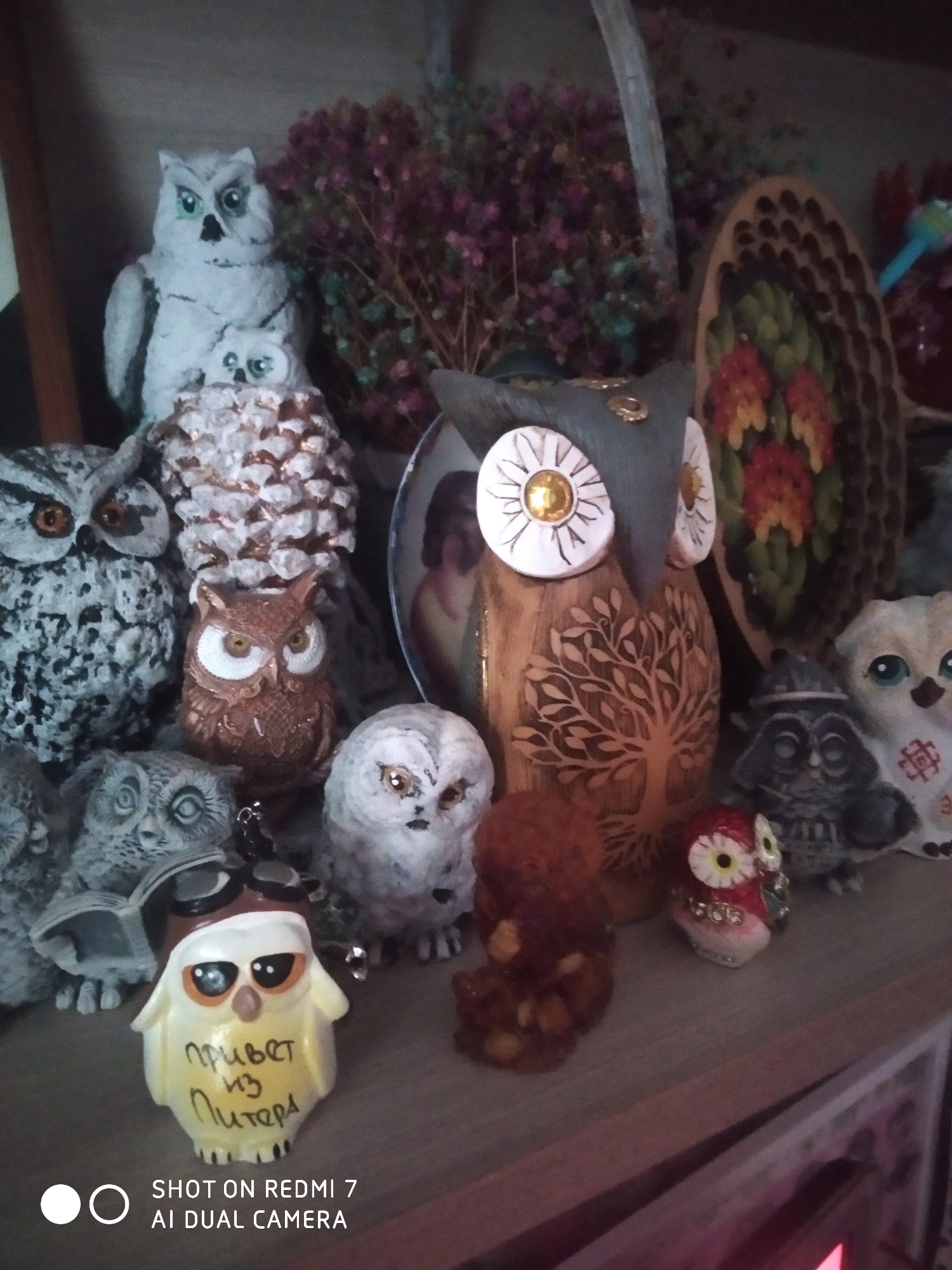 The image depicts a collection of owl figurines on a shelf. The owls are of various sizes, colors, and materials, including ceramic, wood, and pinecone. The figurine at the front has an inscription in Russian, roughly translated to "Hello from Piter". The background includes dried flowers and other decorative items. The location of Ochansk, Russia is not evident within the image.