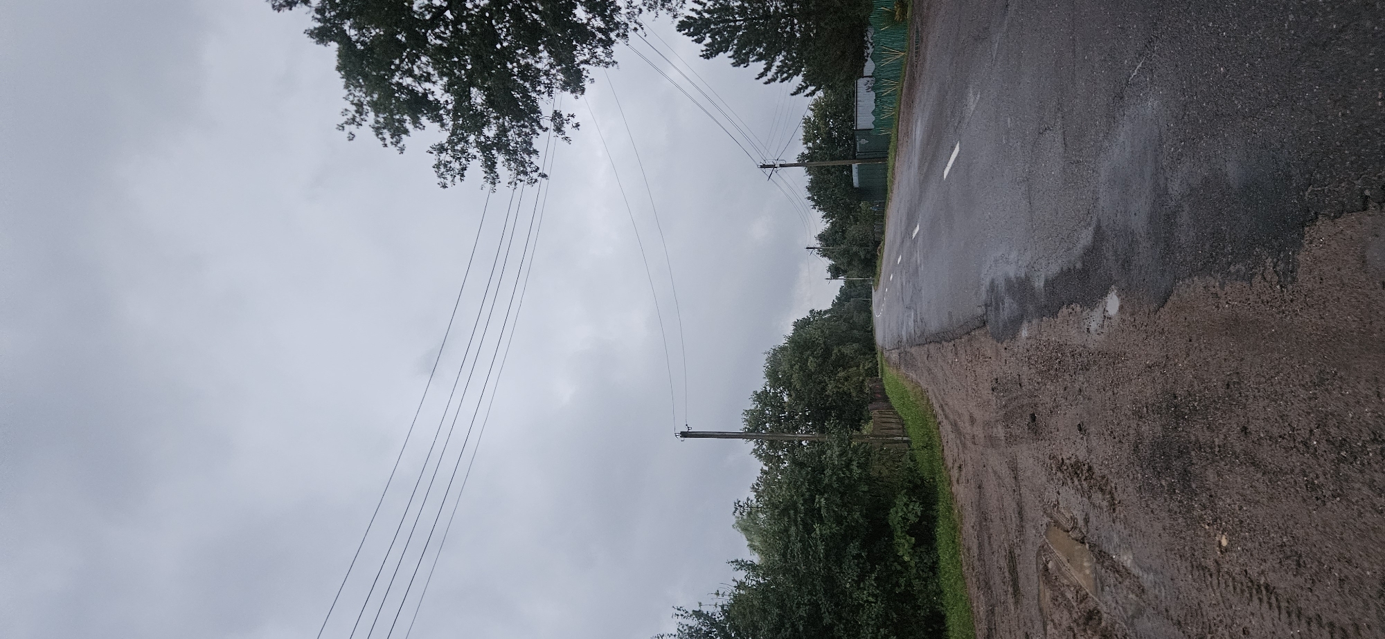 The image depicts an overcast day on a rural road leading through a wooded area. The road is paved and wet, with white lane markings visible. To the left of the road, there is a muddy shoulder with tire tracks and puddles. A wooden fence runs alongside the shoulder, bordering a dense line of green trees and foliage. Several utility poles with power lines are scattered along the roadside. On the right side of the road, further along, there is a green fence and more trees. The sky is heavy with gray clouds, suggesting recent or impending rain. The scene appears to be located outside of the immediate urban area of Liozna, Belarus, likely on a road connecting to or from the town. There are no people or animals visible in the image.