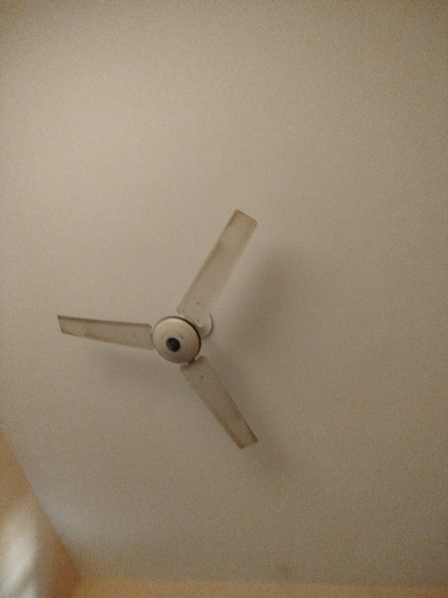 A ceiling fan is shown from a low angle against a plain, beige ceiling. The fan has three blades and a central motor housing. The blades are a light color, possibly white or cream, and appear to be dusty. The motor housing is also a light color, with a dark circular element in the center. The fan is not in motion. The lighting suggests an indoor environment, likely a room. The background is entirely the ceiling, which has a textured finish. No people or other objects are visible. The image is taken in Lassan, Pakistan.