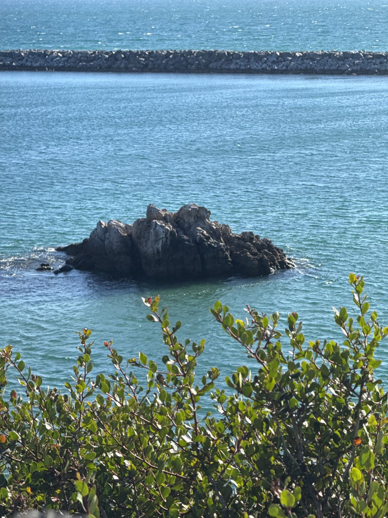 A serene image captures a craggy, dark-gray rock formation surrounded by turquoise water, positioned slightly off-center. Behind the rock, a man-made rock structure appears, stretching horizontally across the frame. In the foreground, lush greenery with small, round leaves partially obscures the view, adding a natural element to the scene. The scene is a rocky island in the Pacific Ocean off Newport Beach, California.