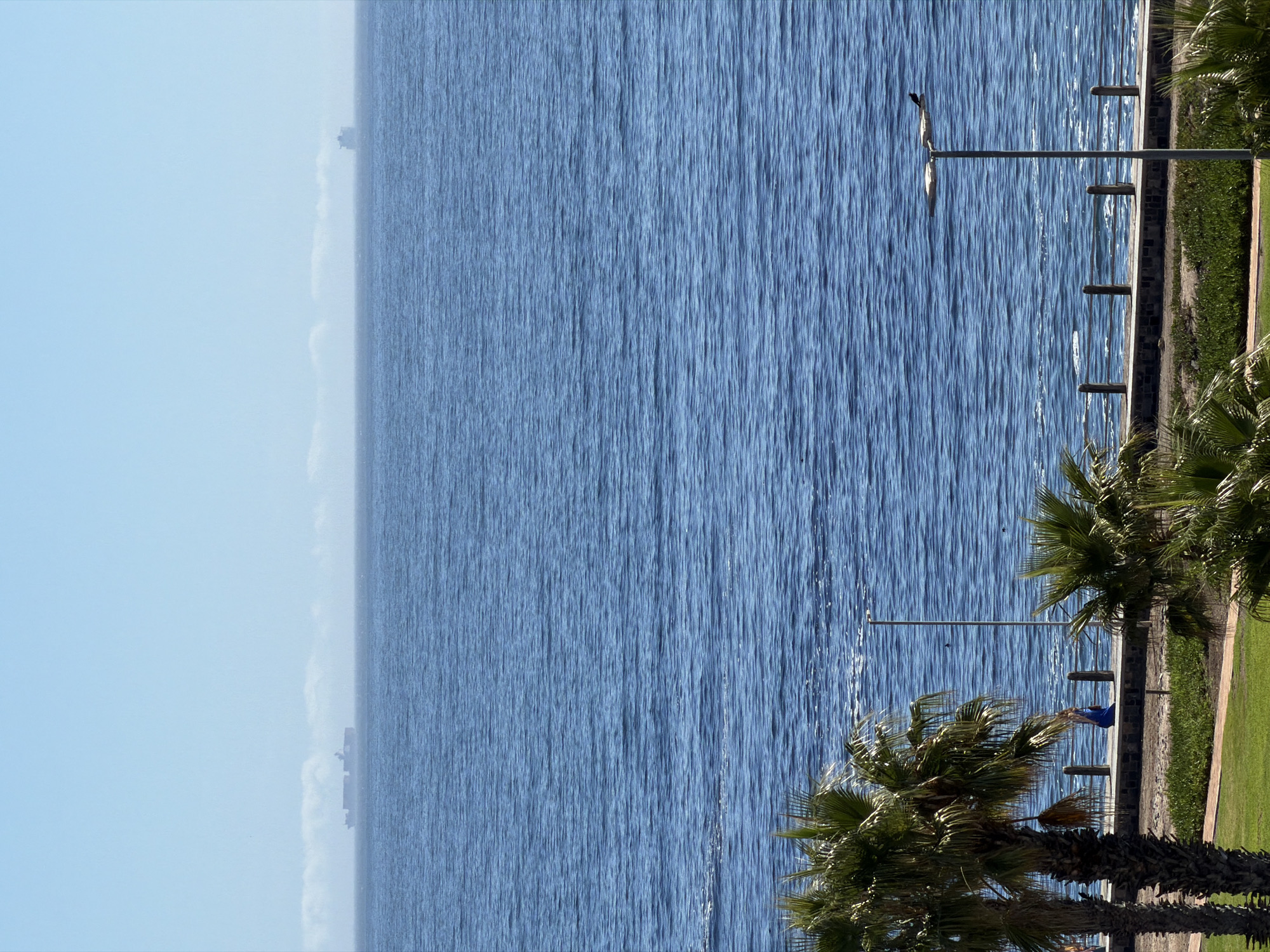 The image captures a seascape scene in Cape Town, South Africa. The blue ocean dominates the view, with a few distant ships barely visible on the horizon. On the right side, a coastline with palm trees, grass, and paved walkways is partially visible. There are lamp posts along the coast. The image is oriented sideways, with the sky to the left and the land to the right.