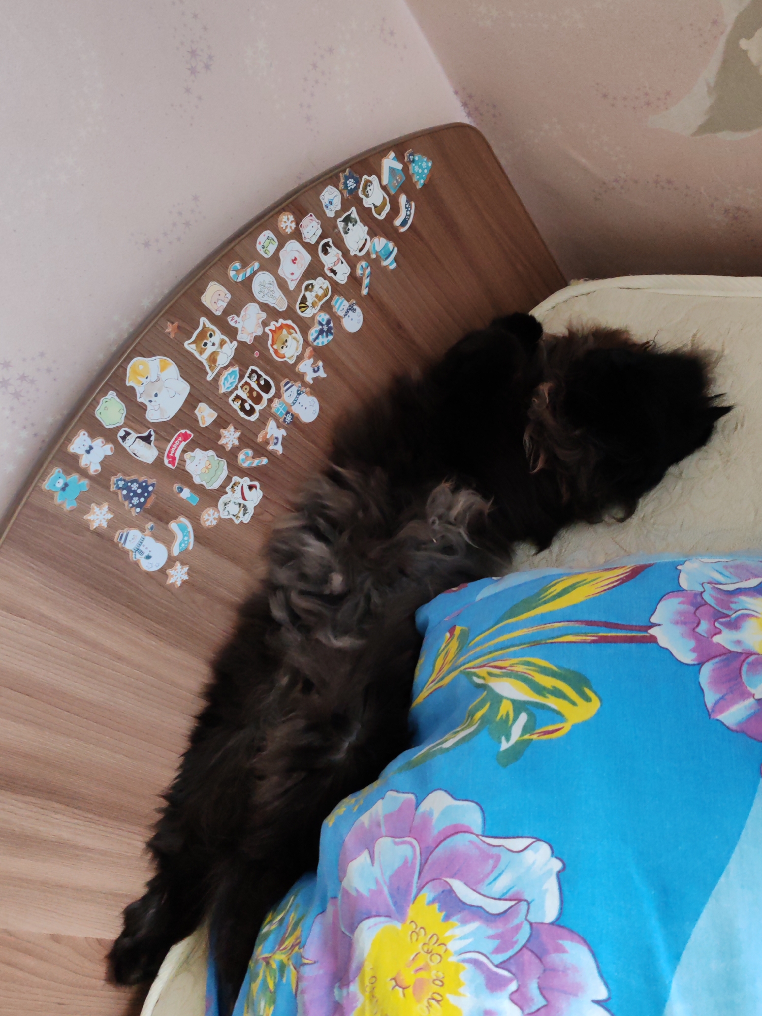 A long-haired, primarily black cat is sleeping on a bed next to a headboard. The headboard is decorated with cartoon stickers of various characters, including animals and winter-themed figures. The cat's head rests on a white pillow, and its body stretches towards a colorful pillow featuring floral designs. The room has patterned wallpaper with faint star-like shapes. The location is Чухлэм, Russia.