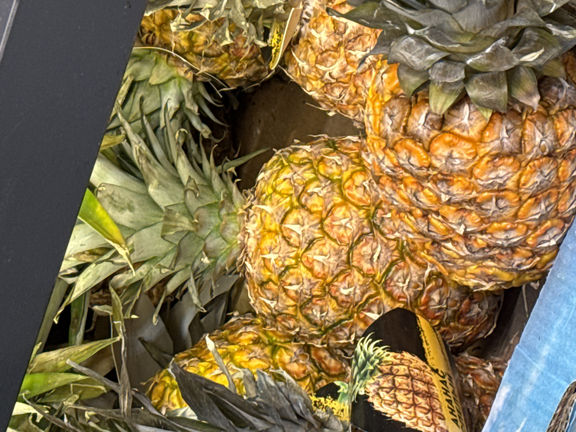 The image shows a pile of pineapples in what appears to be a market setting. The pineapples are various shades of yellow and orange, some with their green, spiky tops visible. There's also a can with a pineapple design on it among the fruit. The backdrop and some of the foreground are out of focus, with blurry outlines of containers or fixtures. The location is possibly Ново-Никольское, Russia.