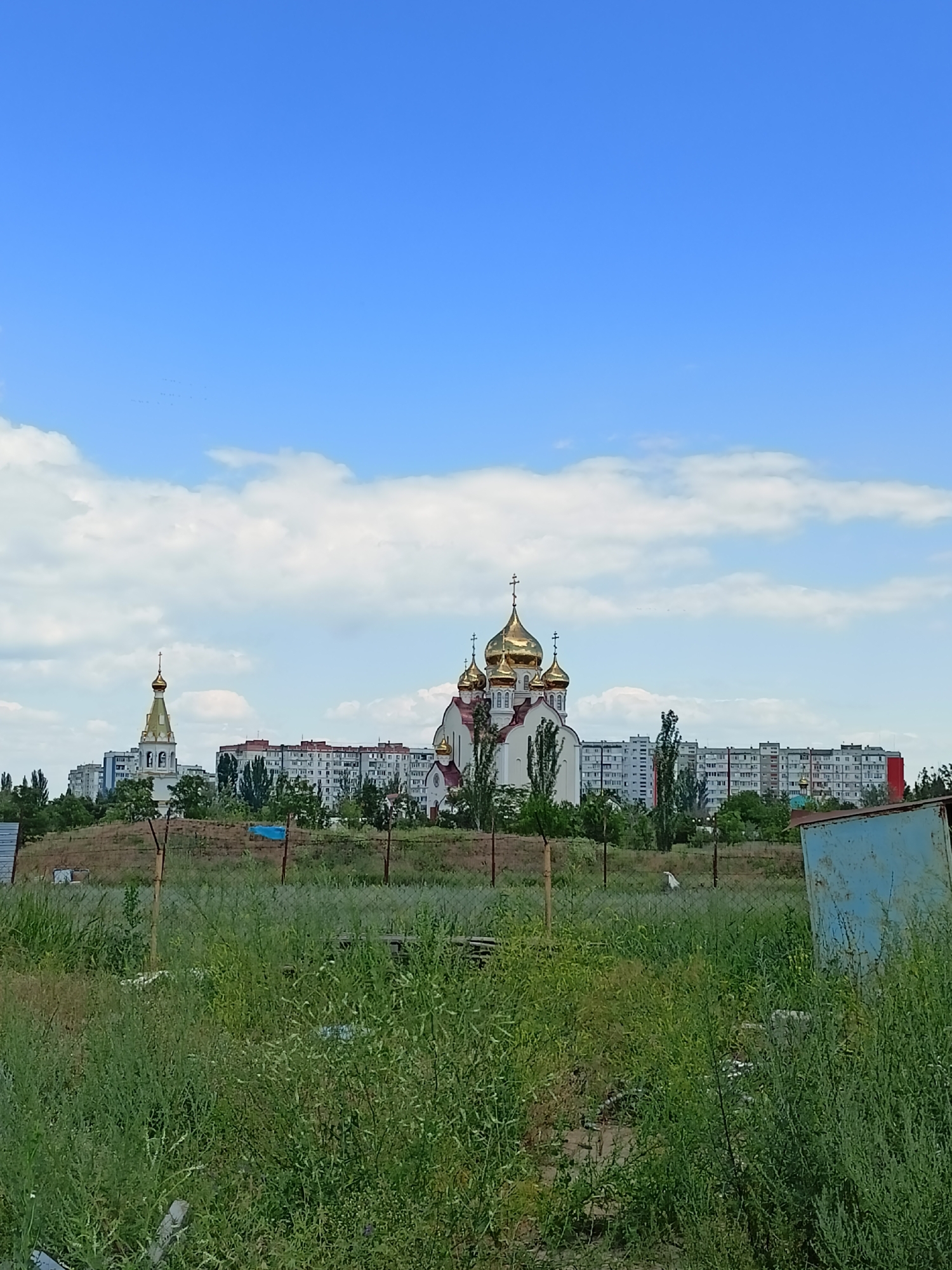 This vertical, eye-level shot captures a sunny day in Volgodonsk, Russia. The sky is a vibrant blue, dotted with fluffy white clouds. In the mid-ground, a cluster of apartment buildings forms a horizontal line, with a prominent church featuring golden domes to the left. A smaller bell tower with a golden dome stands further left, also framed by the apartment buildings. Trees are scattered throughout the scene, some taller and darker, others lighter and more spread out, creating a natural break between the buildings and the foreground.
The foreground is dominated by an overgrown area of tall green grass and some sparse brown foliage. A rusty metal fence runs horizontally across the mid-foreground. To the far right, a blue metal structure, possibly a shed or container, is partially visible. The overall impression is one of a semi-urban or semi-rural setting on a clear, warm day. The absence of people and any specific activity suggests a still, quiet moment. The bright sunshine and clear sky indicate it's likely daytime, perhaps late morning or afternoon.