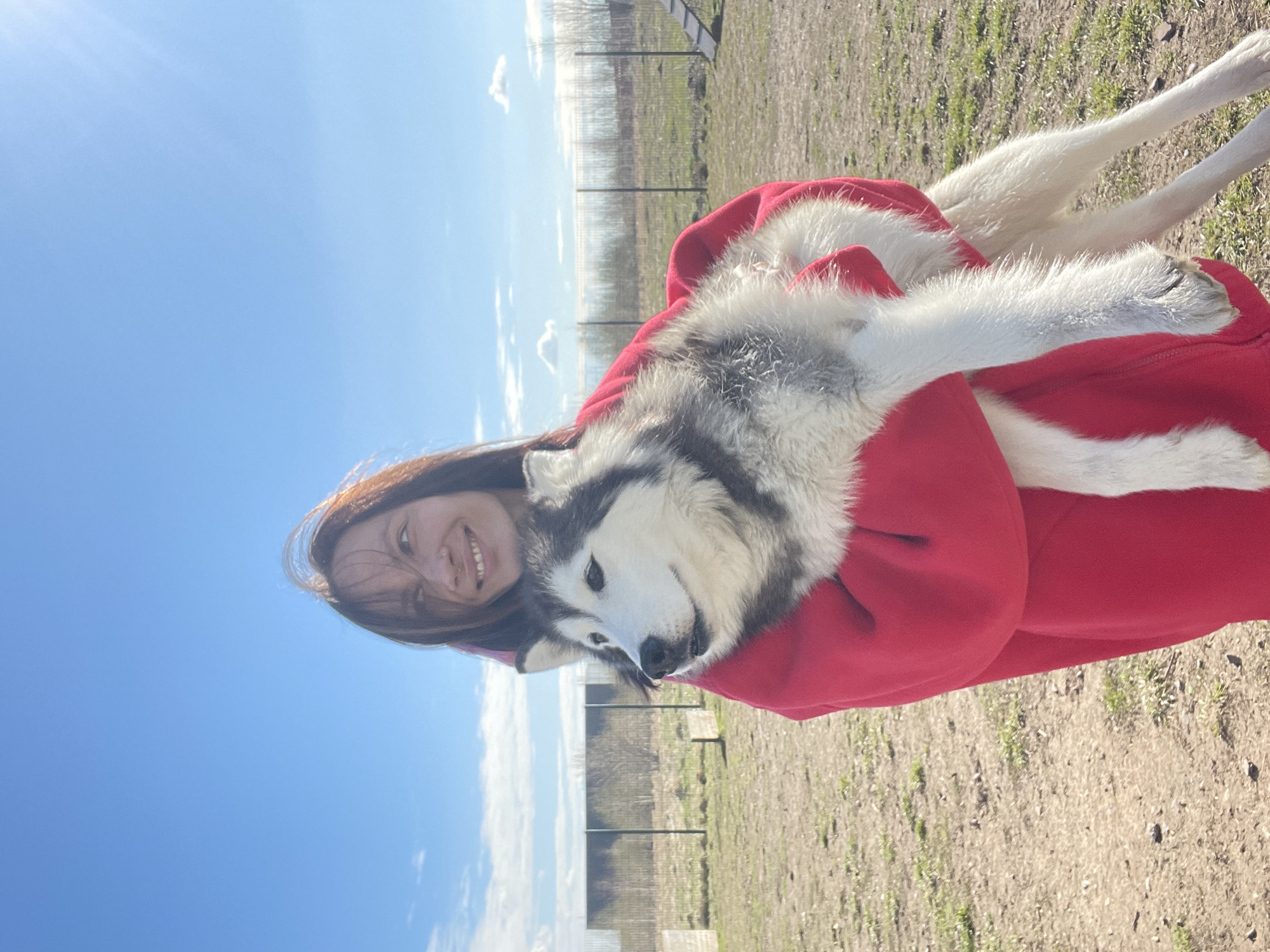 A young woman is holding a large husky dog in her arms. Both are outdoors. The woman is smiling, wearing a red hoodie. The husky dog is mostly gray and white. The background consists of a clear blue sky and an open, grassy field. A fence runs along the horizon. This is in Izhevsk, Russia.