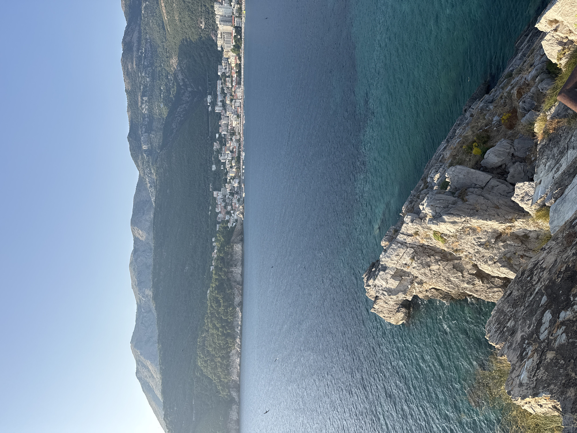 The image captures a scenic view of the coastline near Petrovac centar, Montenegro. In the foreground, rugged, light-colored rocks are visible, with sparse dry grass growing on them. The sea, a deep blue with patches of turquoise, stretches out towards the horizon. Several birds are seen flying over the water. In the mid-ground, a tree-covered peninsula juts out into the sea, with a town nestled on its slopes and along the coast. This town features numerous buildings with red-tiled roofs and white facades, indicative of Mediterranean architecture. Beyond the town, rolling green hills rise, culminating in the mountainous landscape that forms the backdrop. The sky is clear and pale blue, suggesting a bright, sunny day. The overall scene depicts a coastal town bordered by natural beauty, with the sea playing a prominent role.