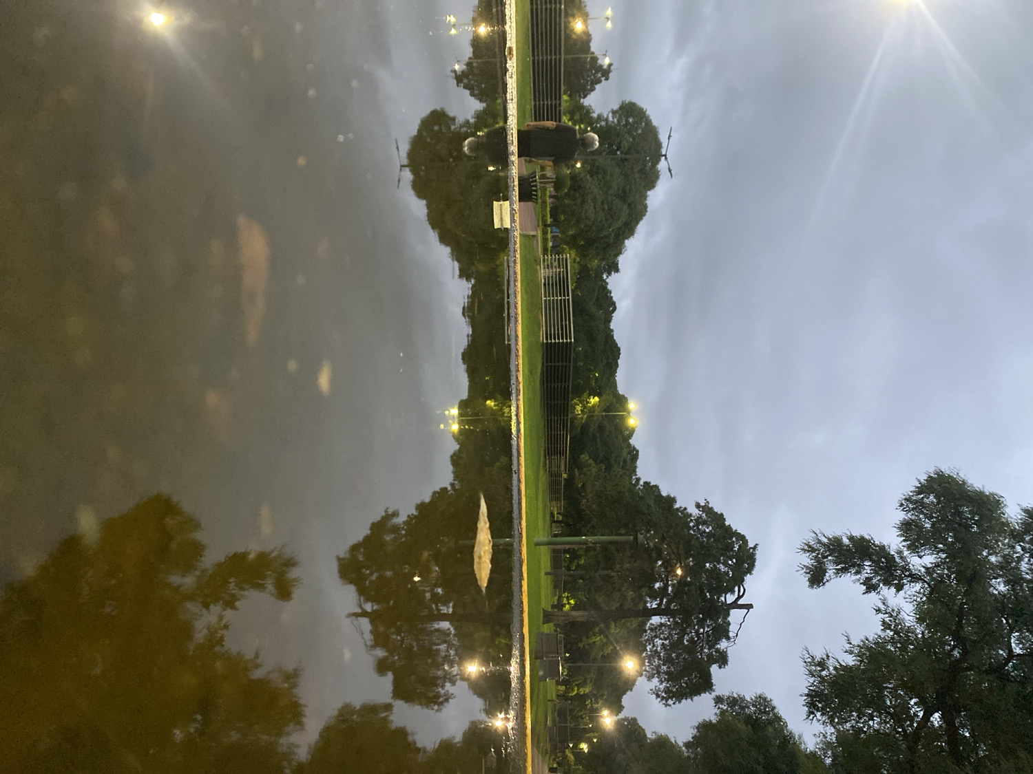 The image displays a park scene at dusk or night, characterized by a prominent reflection. The photograph is oriented vertically, with a dark, reflective surface occupying the entire left half, mirroring the actual park elements shown on the right.
On the right side of the frame, a public park landscape is visible under an overcast, grey sky. Numerous large trees with dense, green foliage are scattered throughout. Several bright streetlights are prominently featured, emitting starburst flares that illuminate parts of the trees and a pathway or grassy area running horizontally across the mid-section. Faint structures, possibly benches or railings, can be seen along this path. A very indistinct, small figure, potentially a person, is vaguely discernible near a bench in the upper-middle section of the park.
The left side of the image is dominated by a still, dark body of water that acts as a mirror, creating a near-perfect reflection of the park scene. The reflected trees appear as dark, indistinct shapes, while the bright streetlights are transformed into elongated, luminous streaks on the water's surface. The overcast sky is also reflected, contributing to the muted, dark tones of the water. Some faint ripples or small pieces of debris are visible on the reflective surface.
The scene is captured at dusk or night, evidenced by the activated streetlights and the dim, overcast sky. The clear reflections indicate calm, still water, likely a pond, lake, or a large puddle after rainfall. The setting is a public park in Buenos Aires, Argentina. No discernible text is visible. The overall mood is quiet and serene.