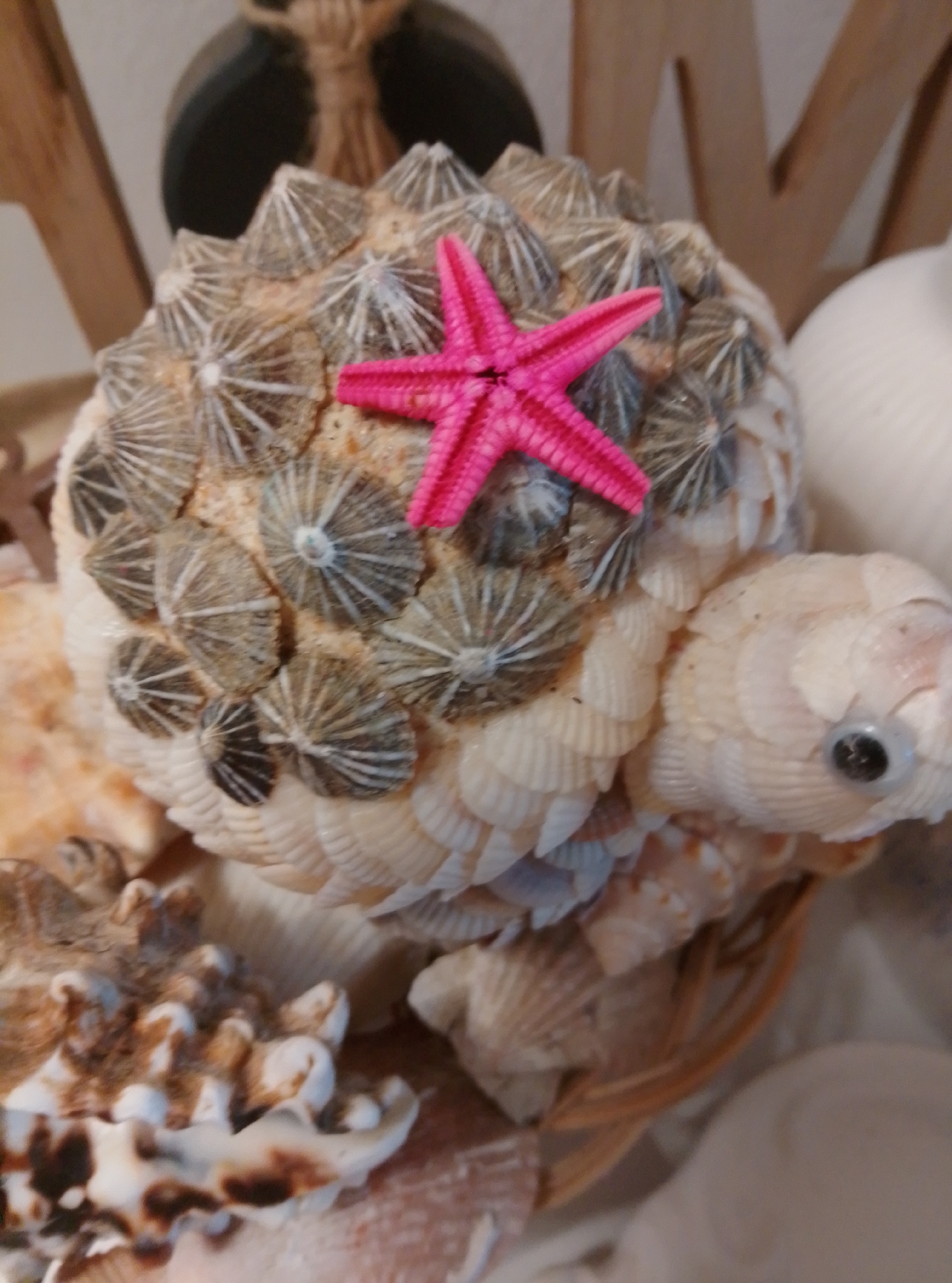 A decorative object resembling a turtle, crafted from shells and barnacles, is displayed. The turtle's body is covered in small, white, layered shells, while its head features a single googly eye. The turtle's back is adorned with numerous barnacles, each radiating lines, and a bright pink starfish is positioned prominently on top of the barnacles. The object is situated within a woven basket, with other seashells and decorative elements visible in the foreground and background. The scene appears to be an indoor display. The image does not provide any information about the city of Wedel, Germany, or any other specific location.