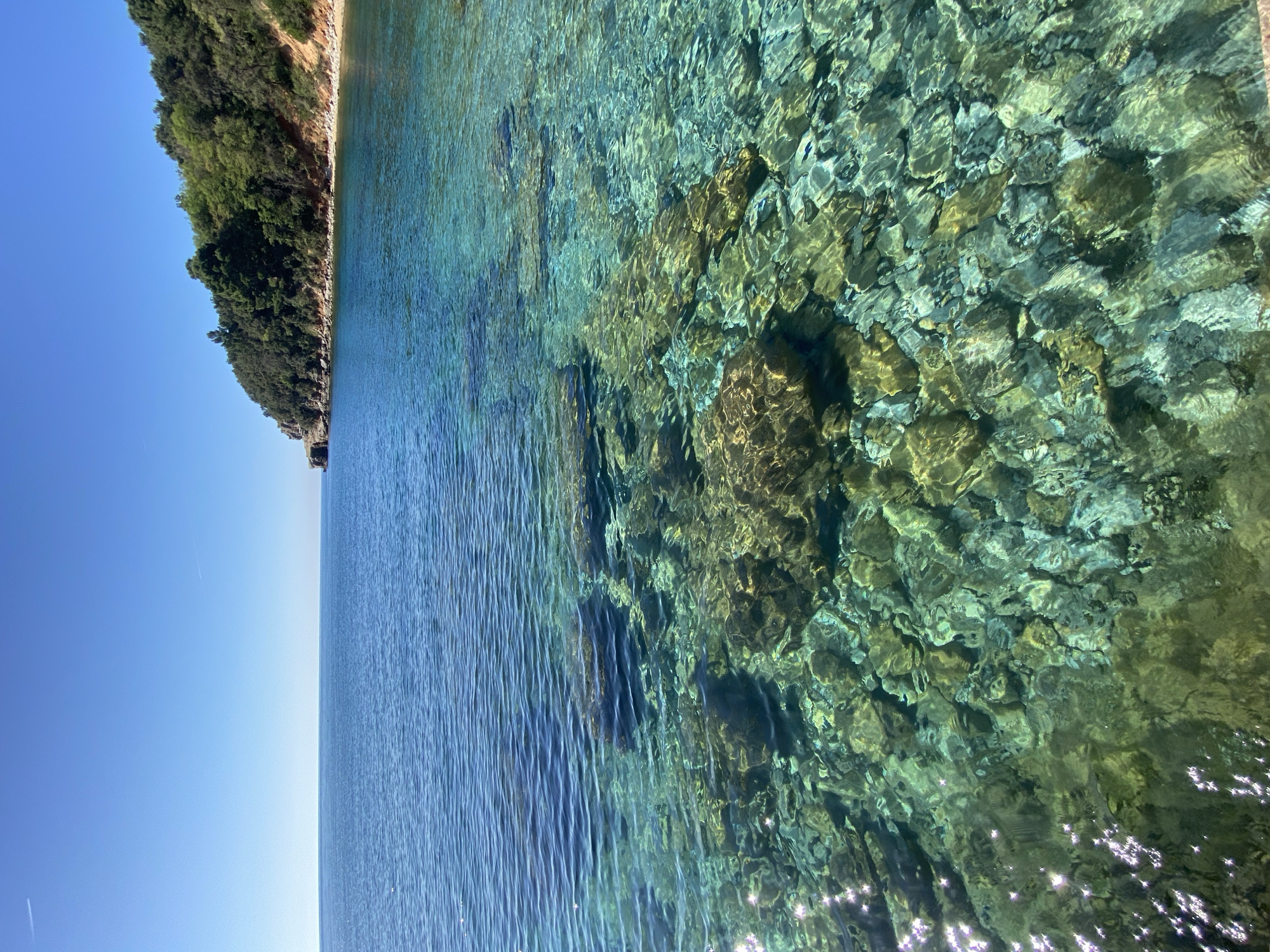 The image depicts a clear, turquoise body of water adjacent to a coastline covered in dense green vegetation under a clear blue sky. The water is shallow enough to reveal rocks and pebbles on the seabed. The scene suggests a calm, sunny day in a coastal area, potentially a beach or cove. The location is likely near Budva, Montenegro, given the typical landscape of the region. No people or active interactions are visible in the image.