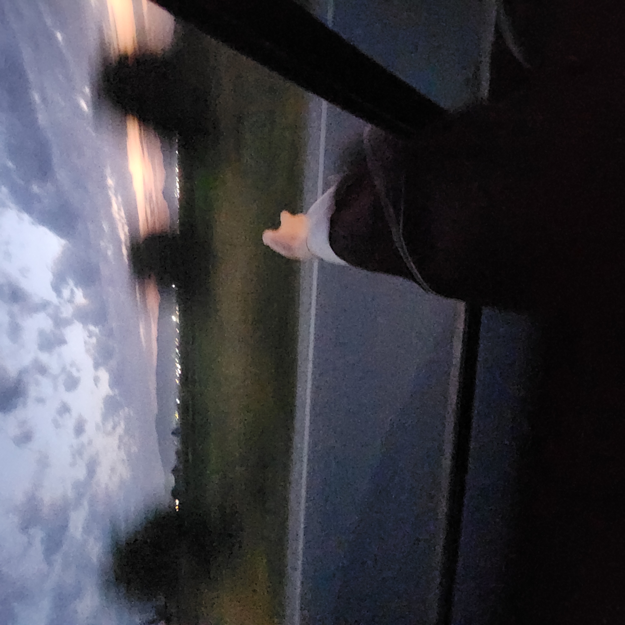 The image depicts a dusk scene outside of Nurdar, Kyrgyzstan. The sky is a blend of dark blues and grays with streaks of orange and pink from the setting sun. Silhouetted trees stand against the horizon, behind which are faint lights of a settlement. In the foreground, a portion of a person's arm and hand are visible, reaching out towards the outside. The person appears to be in a vehicle, with a dark interior structure on the right side of the frame possibly being part of the vehicle's frame. A paved road with a white line is visible below the person's arm, suggesting the vehicle is moving along a roadway. The overall impression is one of travel during twilight.