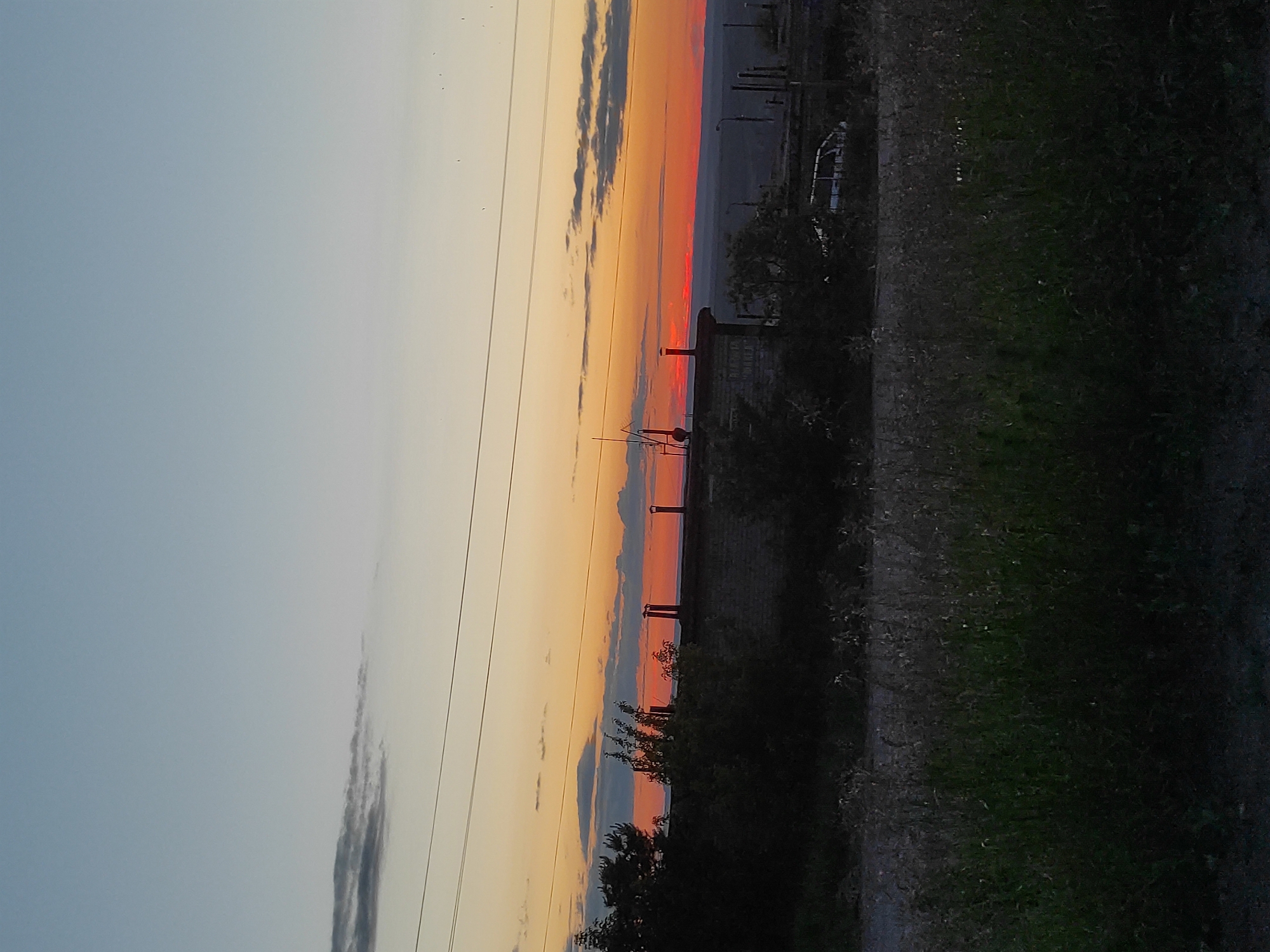 This media file captures a sunset scene over what appears to be a semi-rural or industrial landscape in Chaikovsky, Russia. The sky, occupying the upper two-thirds of the image, displays a beautiful gradient of colors, transitioning from a pale blue and light gray at the top to vibrant oranges, reds, and yellows closer to the horizon. Scattered dark clouds are visible, some catching the last rays of the setting sun, while others remain shadowed. Tiny specks, possibly birds or distant insects, can be seen against the lighter sky.
Running horizontally across the sky, particularly in the upper left, are multiple thin power lines, supported by the faint silhouettes of utility poles or transmission towers in the midground. The horizon is marked by an intense band of red and orange light from the setting sun. Against this bright backdrop, various dark silhouettes are visible, including what appear to be buildings, chimneys, or other industrial structures, and some trees or dense bushes.
The foreground, occupying the bottom third of the image, is much darker, showing dense, overgrown grass and shrubbery. A darker, more solid vertical element, possibly a fence or wall, runs along the far right edge. The overall impression is one of twilight, with the last light of the day fading, casting the foreground and distant structures into deep silhouette. There is no visible text in the image.