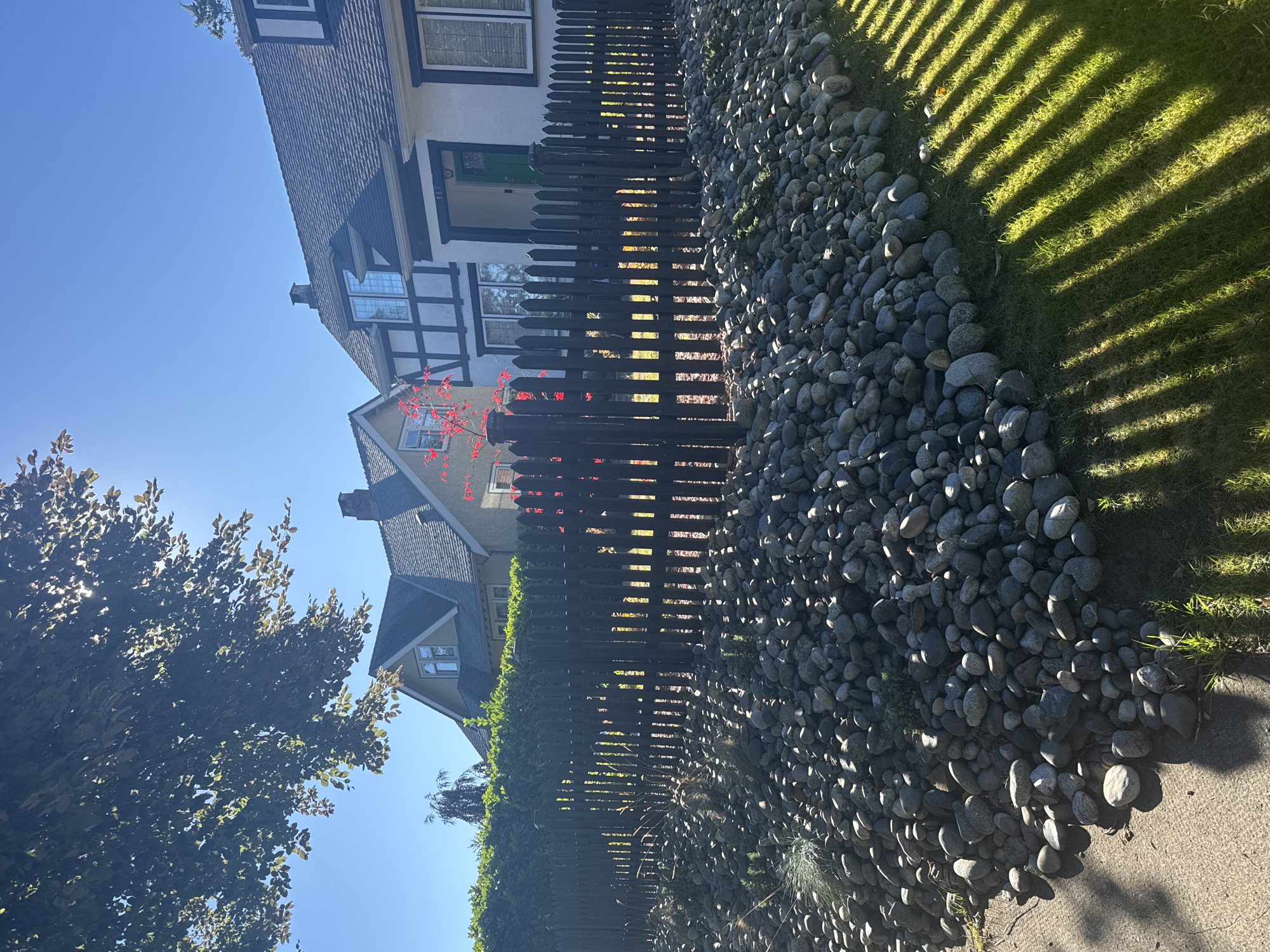 The image depicts a residential street scene in New Westminster, Canada. In the foreground, a dark wooden picket fence separates a rock garden filled with an abundance of smooth, grey river rocks and sparse green vegetation from a manicured lawn. Sunlight casts distinct, parallel shadows of the fence onto the grass, creating a striped effect. Behind the fence, two houses are visible. The house on the right is white with dark trim, featuring a green front door and a number "117" above it. This house has a Tudor-style element with black half-timbering on its upper facade. To the left of this house, another house, painted a pale yellow, is partially visible, with a chimney. A vibrant red Japanese maple tree stands between the two houses, its leaves illuminated by the sun. Lush green hedges form a backdrop behind the fence and rock garden. The sky is clear and blue, indicating a sunny day. The overall scene suggests a well-maintained suburban environment on a bright, clear day.