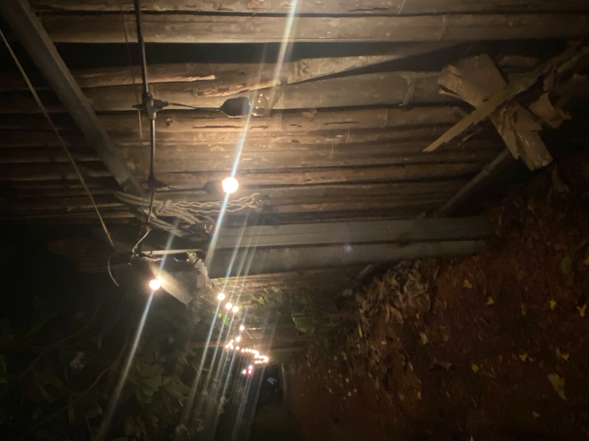 The image shows a dimly lit outdoor walkway in Baan Don Sai, Thailand. Overhead, exposed wooden beams form a partial ceiling structure. Suspended from these beams are strands of string lights, casting bright streaks of light. The right side of the walkway is bordered by a wall covered in foliage and dark brown leaves. The left side is obscured by greenery. The overall scene appears to be taken at night.