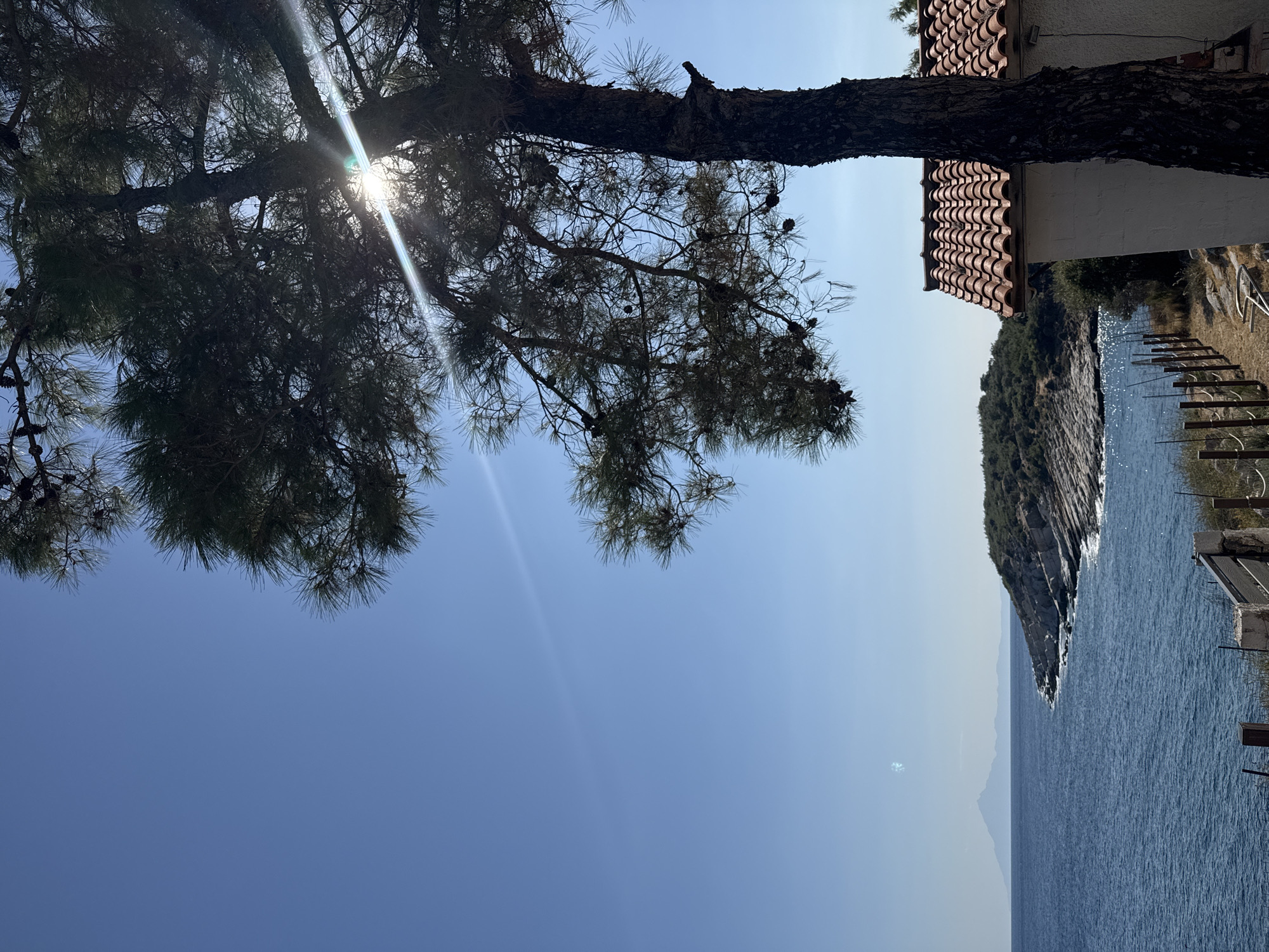 A sun-drenched, outdoor, medium shot shows a bright blue sky with a large pine tree in the foreground. The tree's trunk and branches are dark and silhouetted against the sky, with sunlight streaming through the needles and creating lens flare. A small white building with a red tiled roof is partially visible behind the tree on the right side of the frame. In the distance, a rugged, rocky coastline meets the calm, blue sea. On the far left, a faint, hazy outline of a mountain can be seen on the horizon. A low wooden fence with some visible posts runs along the edge of the property in the foreground, separating it from a dry, grassy area. The overall scene depicts a serene coastal landscape on a clear, sunny day.