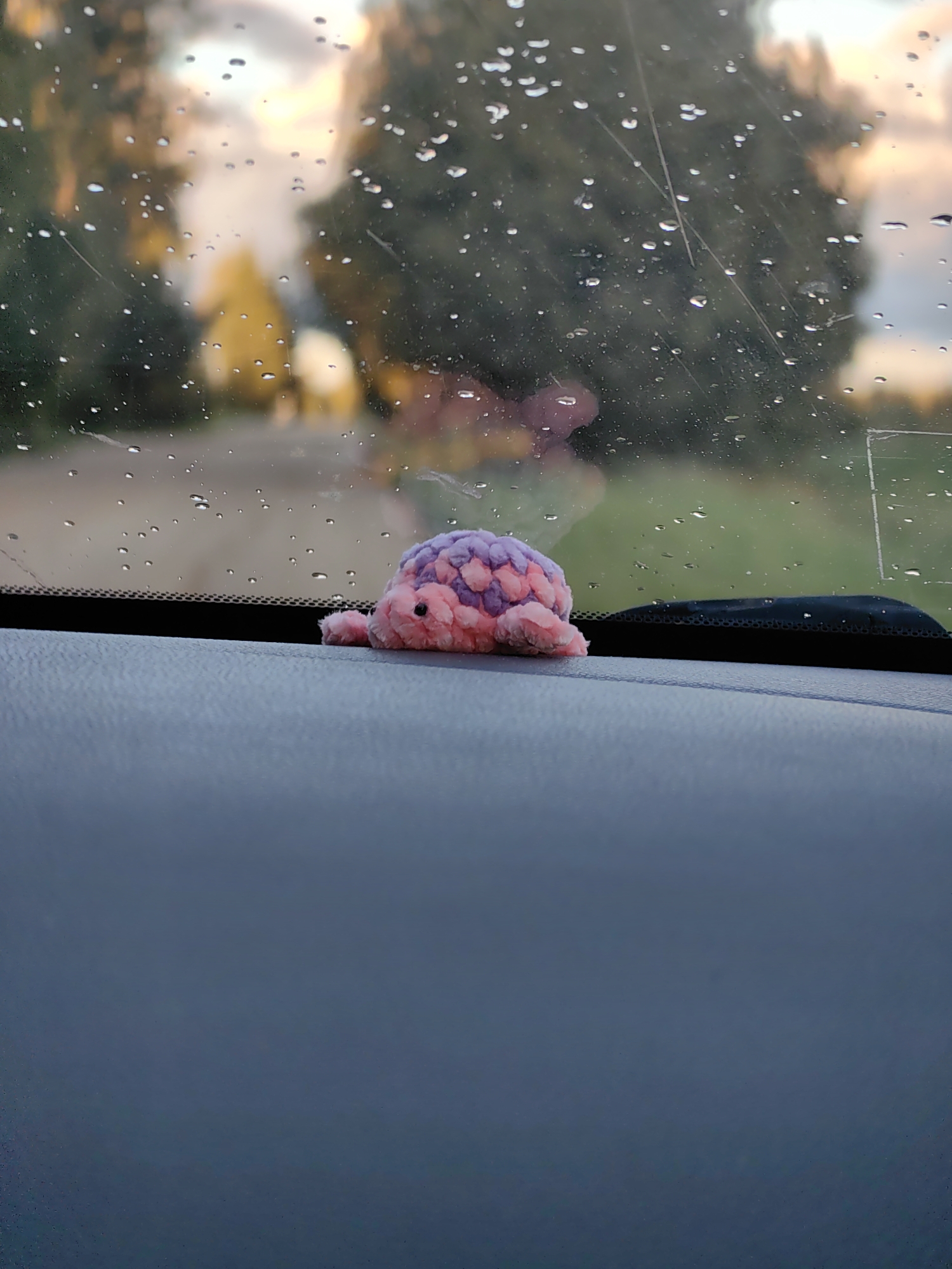A small, pink and purple crocheted turtle toy is positioned on the dashboard of a vehicle. The toy is facing left, with its head slightly tilted forward and its front flippers extended. Its shell is detailed with a pattern of overlapping scales in shades of purple and pink. The turtle's eyes are small, black beads. The dashboard is a dark, textured material. Outside the car window, water droplets are visible, suggesting it is raining or has recently rained. The background shows a blurred landscape with trees and a road, indicating the vehicle is likely in a rural or suburban setting. The sky appears overcast with hints of warm light, possibly indicating dawn or dusk. The image appears to be taken from inside the vehicle.