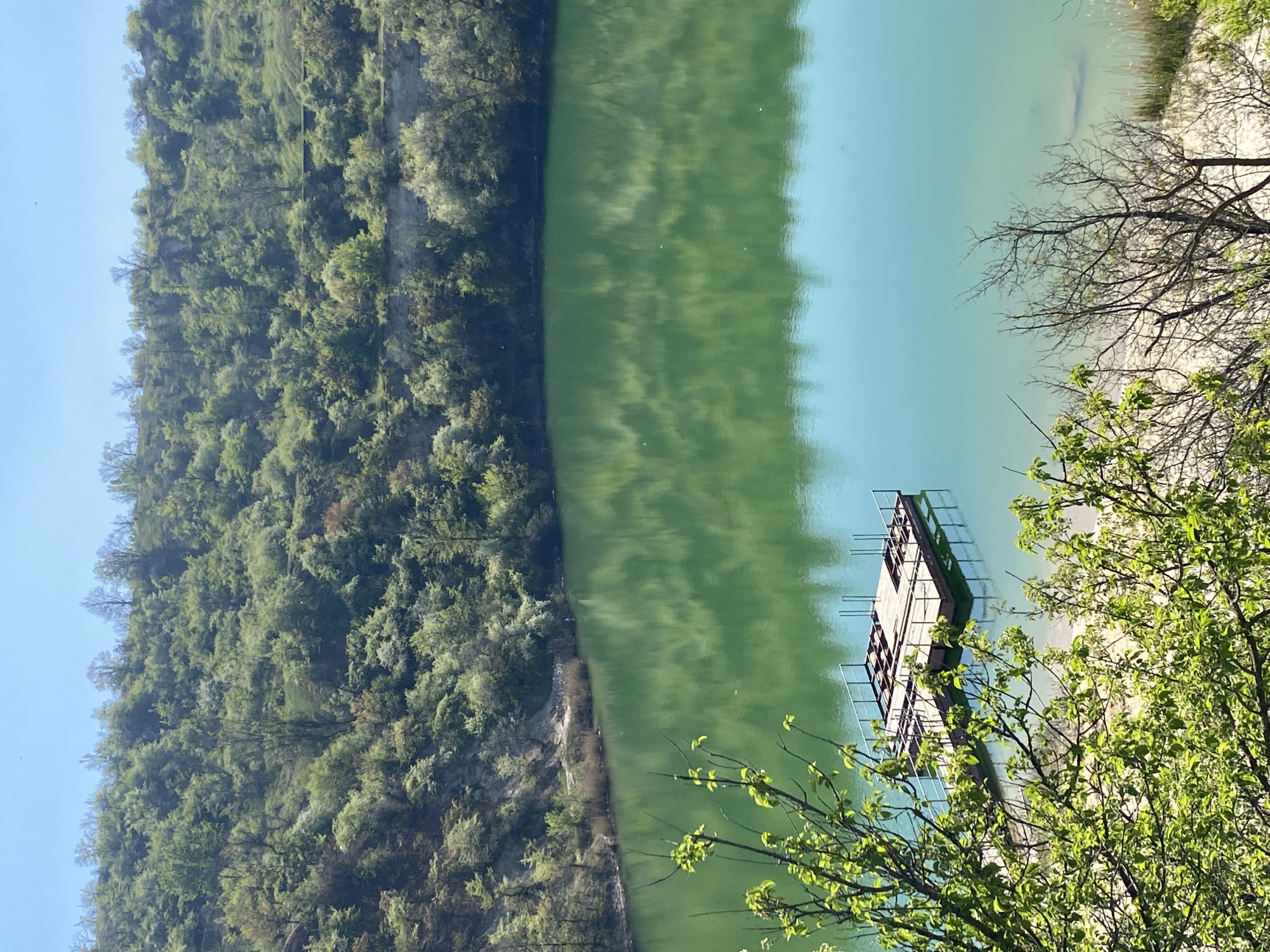 Here is a description of the image:
The image shows a landscape with a body of water, likely a lake, situated between a lush green forest on one side and a sandy shore with vegetation on the other. In the water, there's a rectangular structure that appears to be a floating dock. The water has a greenish-blue tint, and the reflection of the forest can be seen on its surface. The perspective is from an elevated position, with some tree branches in the foreground, adding depth to the scene. The sky is a clear, light blue. The image is rotated 90 degrees clockwise.
