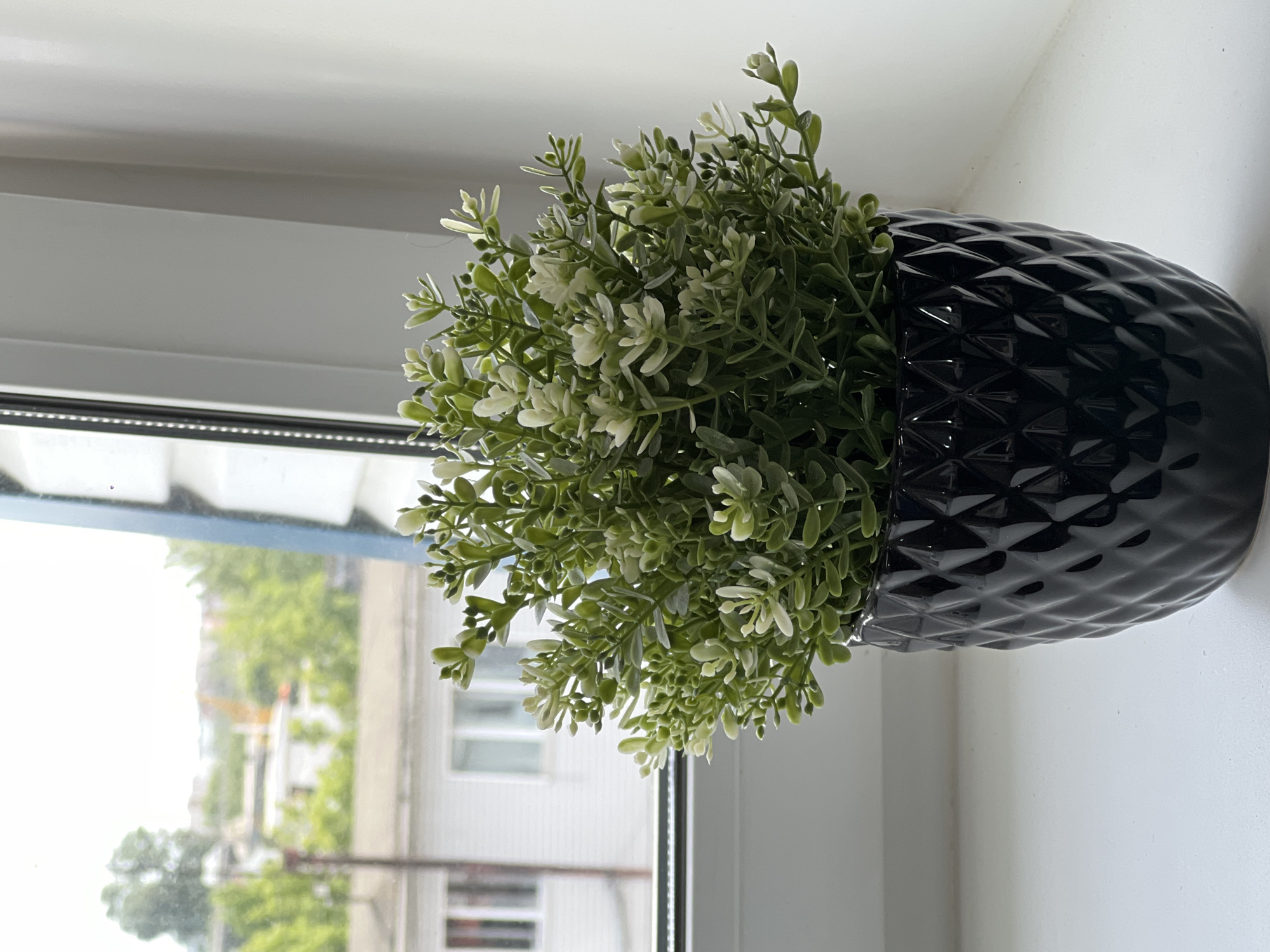 A potted plant sits on a white windowsill in what appears to be an interior setting. The plant is a dense, rounded bush of small, green leaves with hints of white variegation. It is planted in a black, bulbous pot with a textured, geometric diamond pattern. Outside the window, the view is of a residential area with buildings and trees. The building directly visible has white walls and several visible windows with horizontal panes. Further in the background, the scene includes greenery and a construction crane is visible. The location is the city of Chaikovsky, Russia.