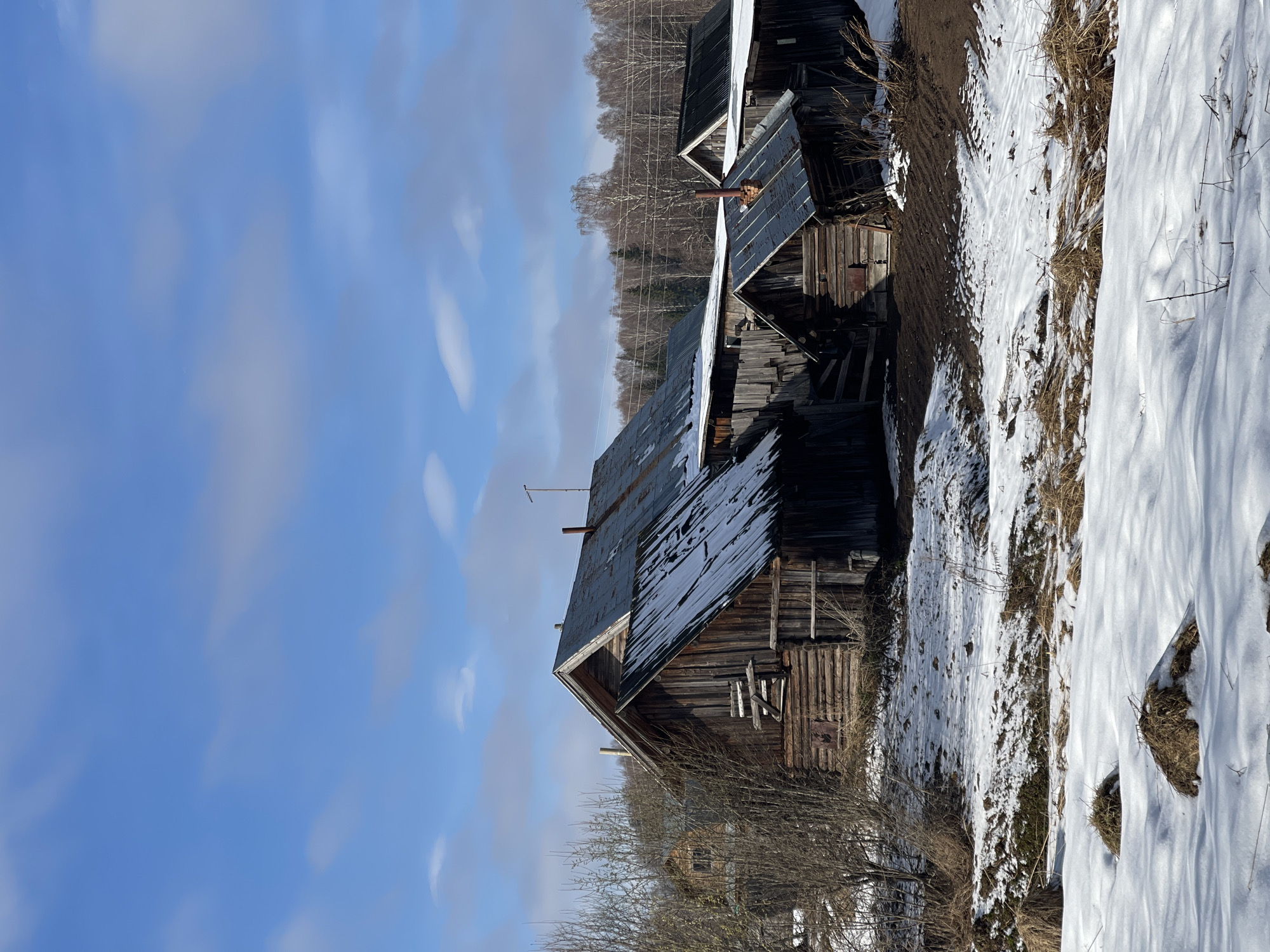The image depicts a rural scene with several dilapidated wooden structures, likely barns or outbuildings, in what appears to be a state of disrepair. The location is identified as Zhigalki, Russia. Patches of snow cover the ground, indicating a winter or early spring season. The buildings are constructed of weathered wood with metal roofs that show signs of rust and damage. The sky is blue with some clouds. The environment consists of sparse vegetation and trees in the background. There are no visible people or signs of recent human activity.