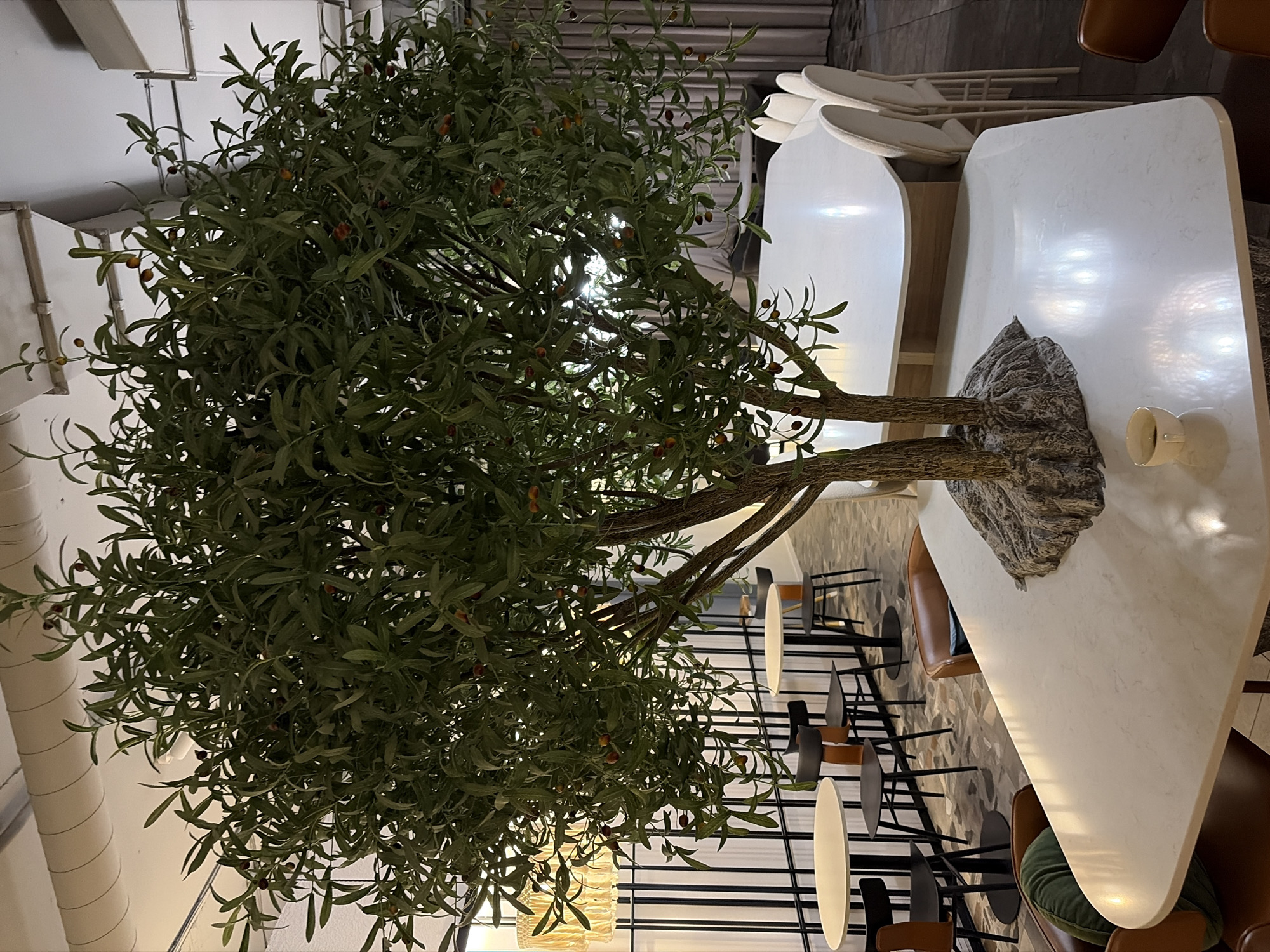 This image depicts the interior of a modern cafe or restaurant, possibly located in Minsk, Belarus, given the context provided. The central and dominant subject is a large, artificial olive tree with green leaves and small, reddish-brown olives. The tree is positioned in the foreground, growing out of a textured base that resembles a rock formation.
Surrounding the tree are several tables and chairs, suggesting a dining or seating area. In the foreground, a long, light-colored, oval-shaped table with a marble-like surface is visible. A small white teacup sits on this table. To the left and in the foreground, there are two brown leather armchairs, one with a green cushion.
In the mid-ground, several smaller, round, light-colored tables are accompanied by dark chairs with brown accents. These tables appear to be in a slightly elevated or separated section of the room, possibly a separate seating area.
Further in the background, another long, light-colored, oval-shaped table with a lighter base is visible, with a row of neutral-colored chairs arranged around it. The overall ambiance suggests a contemporary and well-lit space, with elements of natural decor. The lighting appears to be a mix of natural light from windows or overhead fixtures and artificial lighting, creating reflections on the table surfaces. The walls in the background are a neutral color, with vertical blinds or partitions partially visible. The floor has a terrazzo-like pattern. No people are clearly visible in the scene.