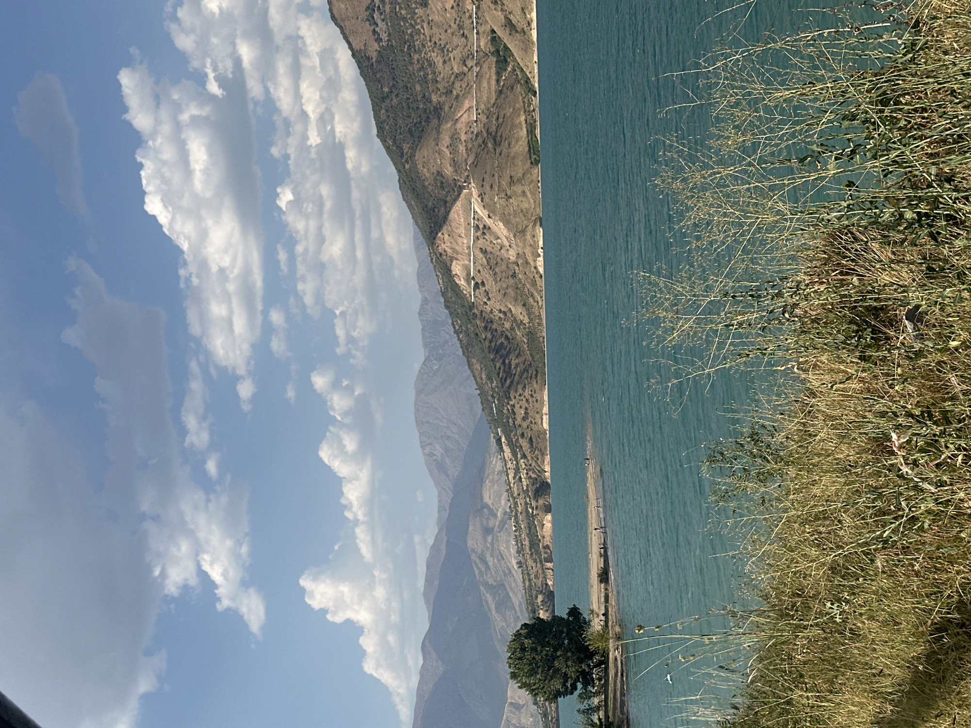 The image depicts a wide, tranquil turquoise lake in Yusuphana, Uzbekistan, bordered by rugged, barren mountains in the background. The sky above is a bright blue, adorned with scattered white cumulus clouds. A narrow strip of dry, grassy land juts into the lake, with a solitary, lush green tree standing prominently on its left side. Several small figures are visible on the sandy shore, suggesting human presence and activity. The foreground is dominated by dry, tall grasses and some sparse vegetation, implying a dry climate. A winding road is visible carved into the side of one of the mountains, indicating infrastructure in the mountainous terrain. The overall scene is one of natural beauty and expansive landscapes, with a hint of human interaction with the environment.