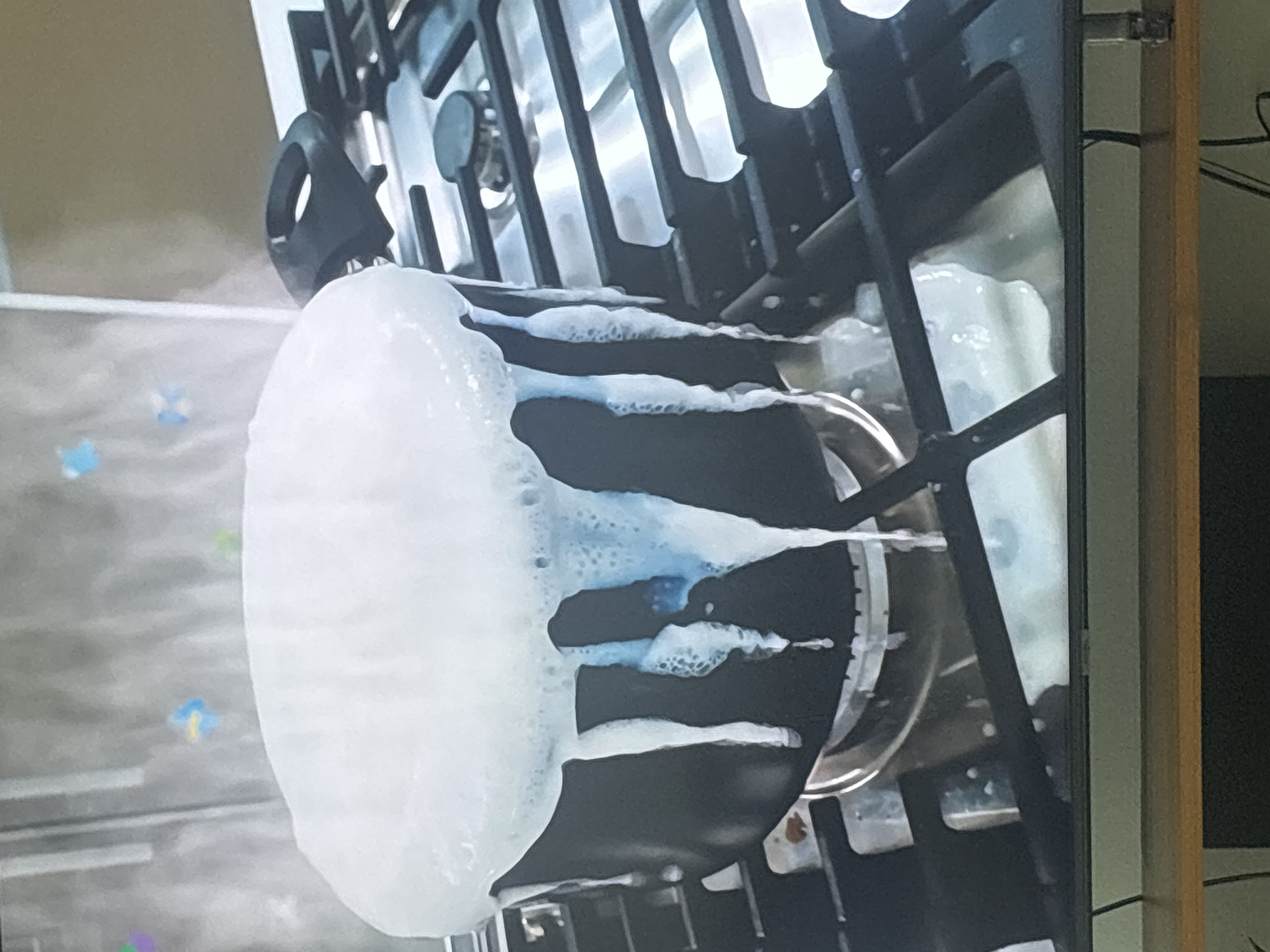 The media file captures a close-up, sideways view of a pot overflowing with white foam on a stovetop. The foam spills over the edges of the pot, cascading down its sides and onto the grates of the stove. The pot is dark-colored, likely black, and appears to be made of metal. The stovetop is also dark, with visible grates and burners. Wisps of steam rise from the foam, suggesting that the contents of the pot were hot. The background is somewhat blurred, but hints of a kitchen environment are discernible, including what appears to be a countertop with some light blue and yellow decorative elements. The overall scene is one of a cooking mishap, with the overflowing foam indicating that something has boiled over. There is no visible text in the image. The lighting suggests it is indoors, likely during the day, in a domestic setting. The location context provided is Dubai, United Arab Emirates.