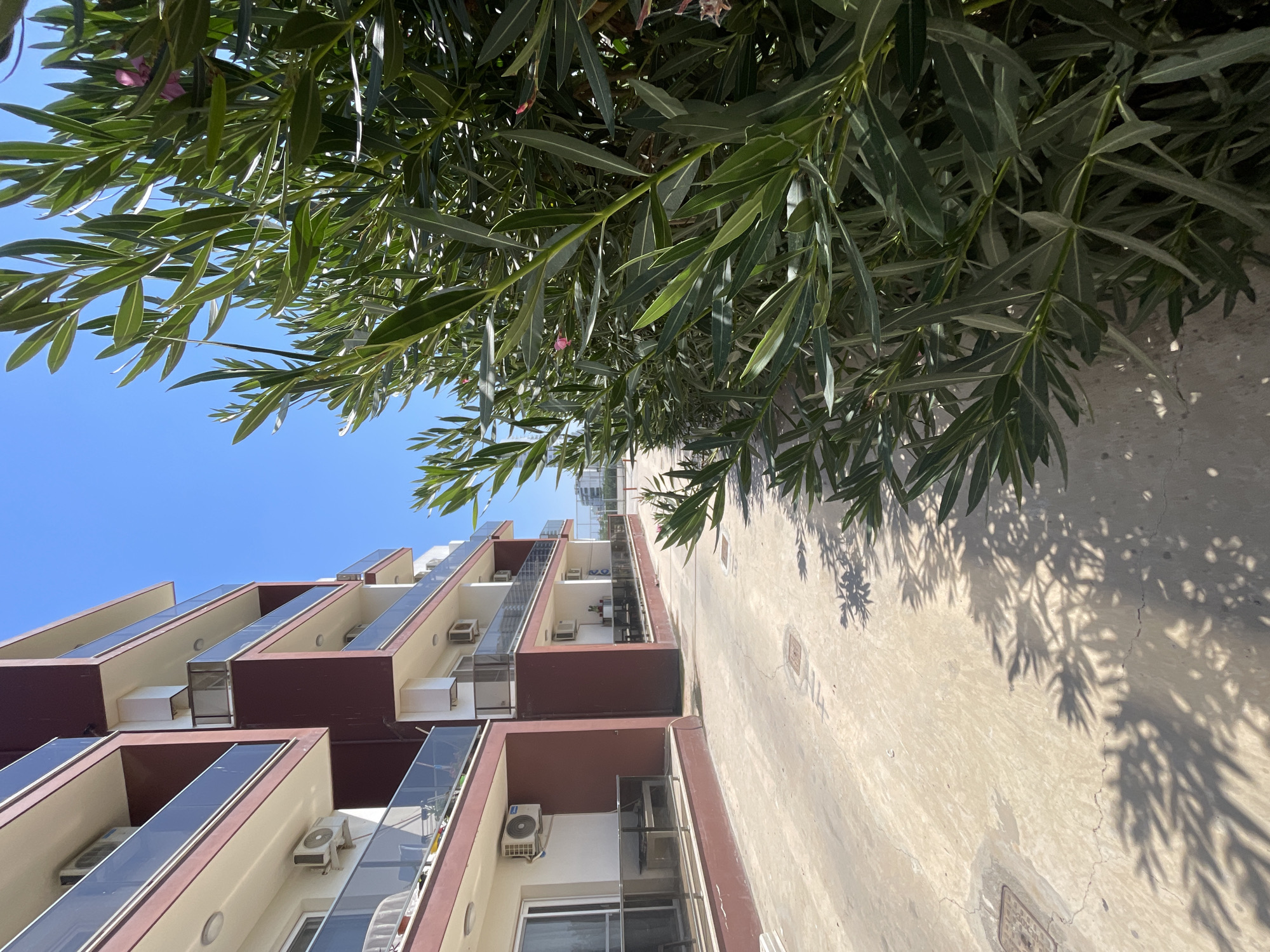 The image shows a residential building with maroon and white exterior walls, featuring multiple balconies with glass railings and air conditioning units installed on the exterior walls. The building appears to be located in an outdoor area with a paved walkway and a dense green shrubbery in the foreground casting shadows on the ground. The sky is clear blue. In the distance, a few more buildings and some lampposts are visible. The scene suggests a sunny day in a residential complex, possibly a hotel or apartments, in Trikomo, Northern Cyprus. There are no people visible in the image.
