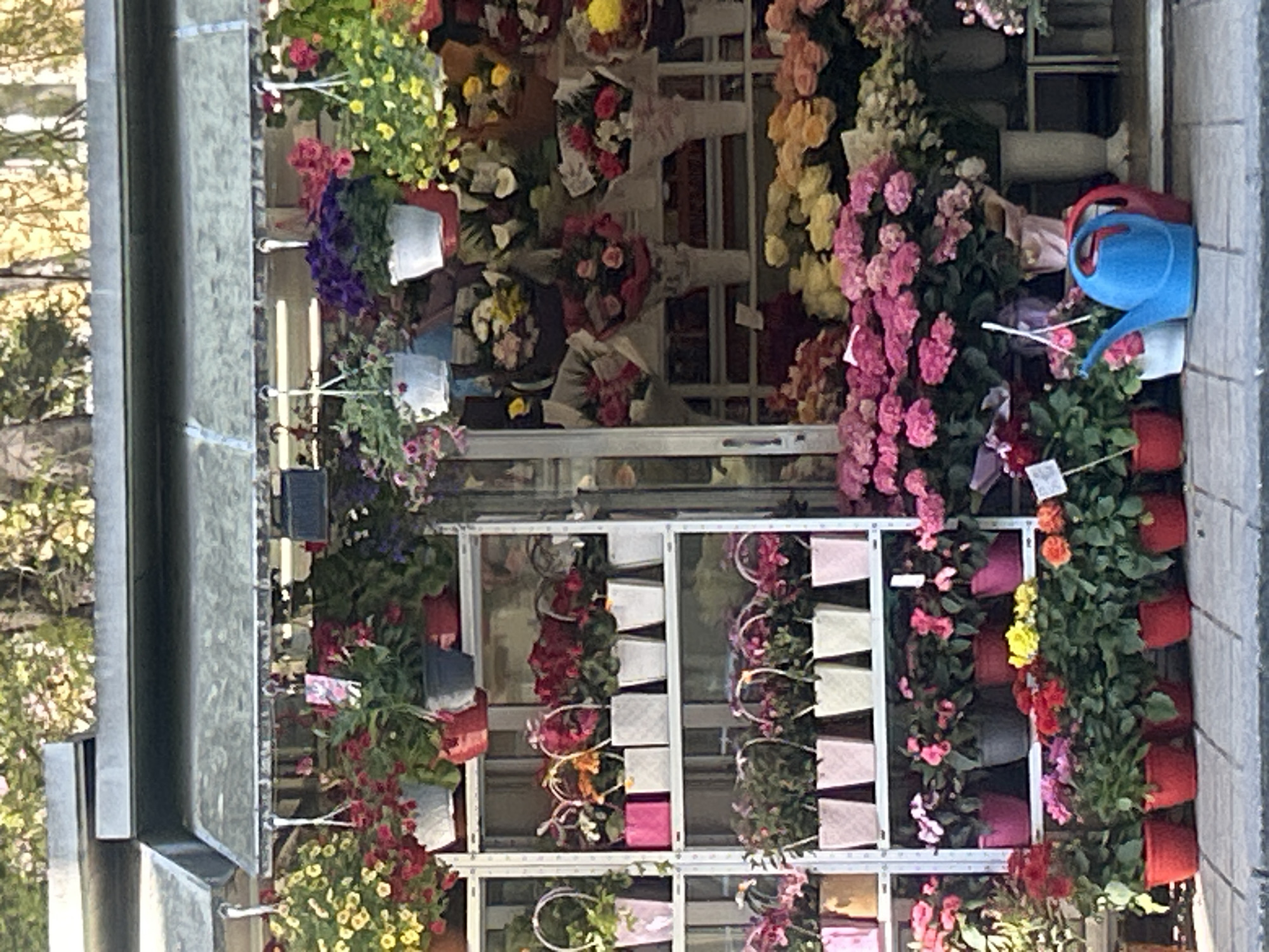 The image depicts a flower stall in an urban setting, likely a city street. The stall is filled with an abundance of colorful flowers in bouquets and potted plants, arranged on tiered shelves. A blue watering can is visible among the flowers on the right. The background includes buildings and trees, indicating an outdoor location. No people are visible in the frame. The image suggests a vibrant and lively atmosphere associated with a flower market or vendor.