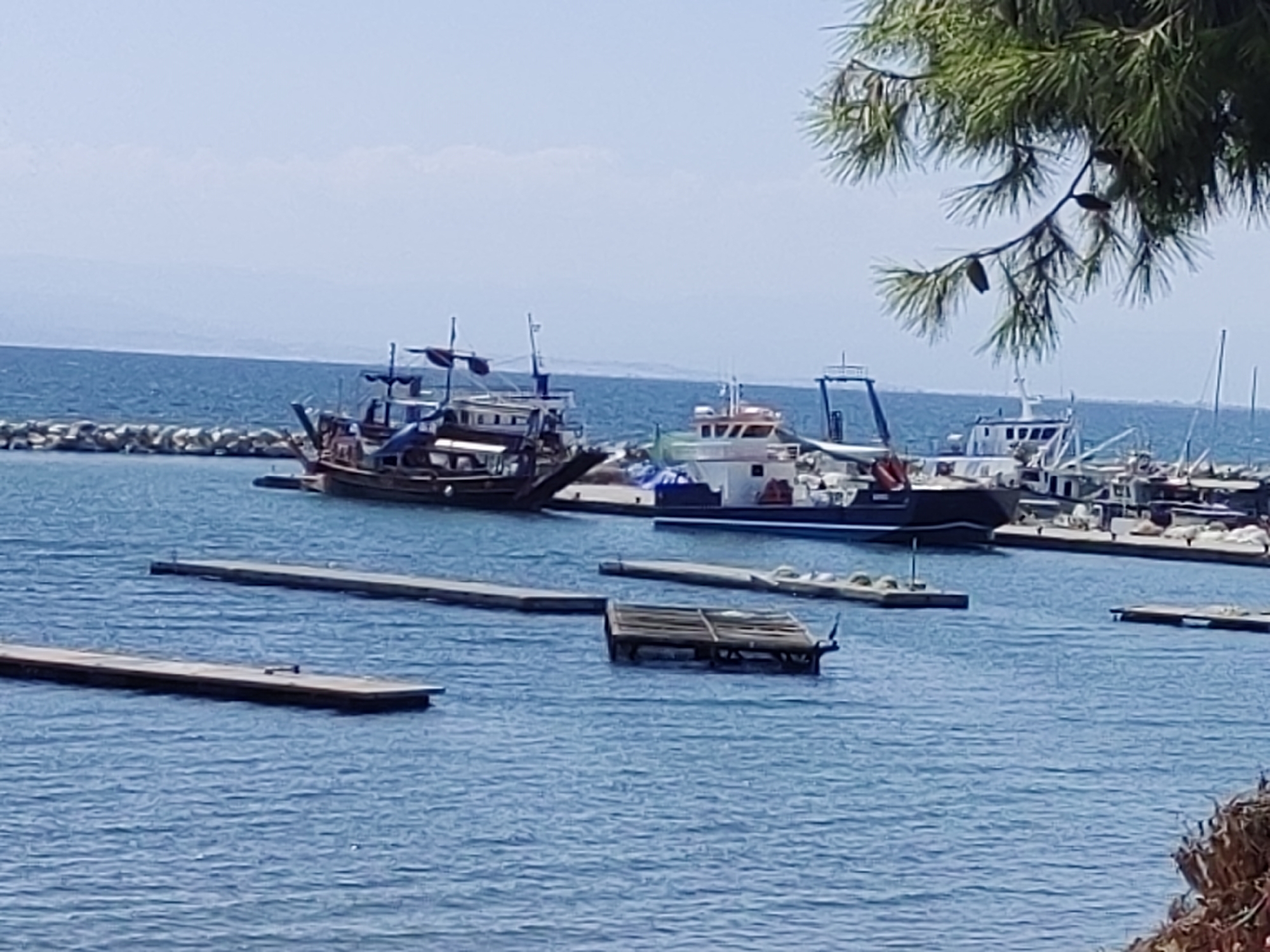 The image depicts a harbor scene in Thessaloniki, Greece, under a bright, hazy sky. The foreground features calm blue water with several wooden docks or piers floating on the surface. In the mid-ground, a variety of boats are moored, including a larger, multi-decked wooden vessel that appears to be a traditional boat or a tourist boat, and several smaller, modern fishing or work boats. A rock breakwater is visible in the background, separating the harbor from the open sea. The distant horizon shows a faint outline of land under a pale sky, suggesting landmass or mountains in the distance. A branch of a pine tree with green needles and cones hangs into the upper right corner of the frame, providing a natural element to the otherwise man-made harbor scene. There are no people visible in the image.