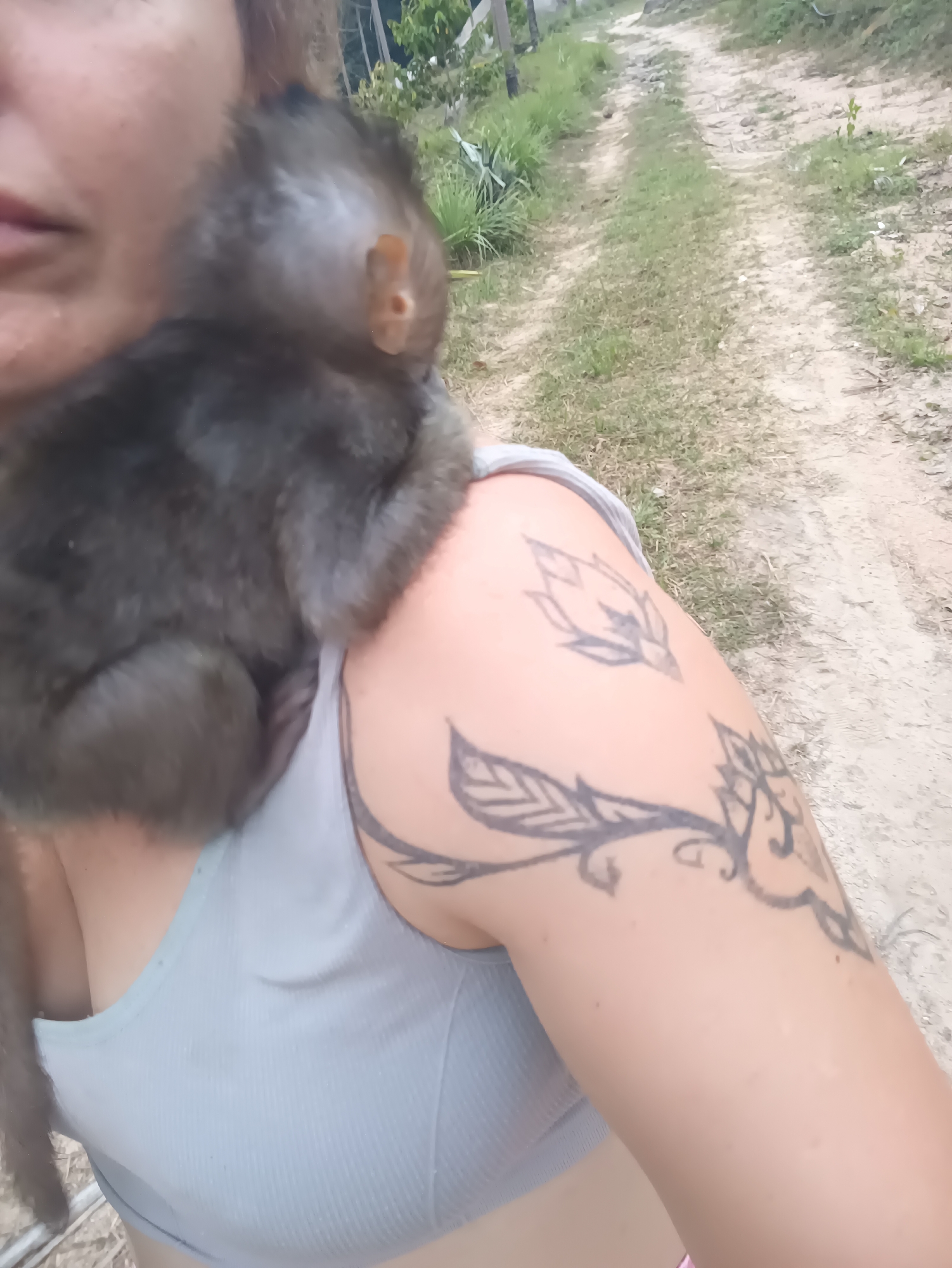 A close-up, outdoor image shows a person interacting with a small monkey. The subject, visible from the chest up, has long, light brown hair and is wearing a light grey or blue ribbed tank top. A prominent tattoo featuring intricate floral and leafy patterns, including lotus-like elements and vines, adorns their upper right arm.
A small, greyish-brown monkey is perched comfortably on the person's right shoulder, facing away from the camera. Its right ear and the texture of its fur are clearly visible.
The background reveals a rustic dirt or gravel path stretching into the distance, flanked by sparse green grass and various tropical-looking plants and shrubs. The setting suggests a rural or natural environment, consistent with Baan Thong Nang, Thailand. The bright, natural light indicates that the photo was taken during the day, likely morning or afternoon. The scene depicts a calm and seemingly affectionate interaction between the human and the monkey. There is no visible text in the image.