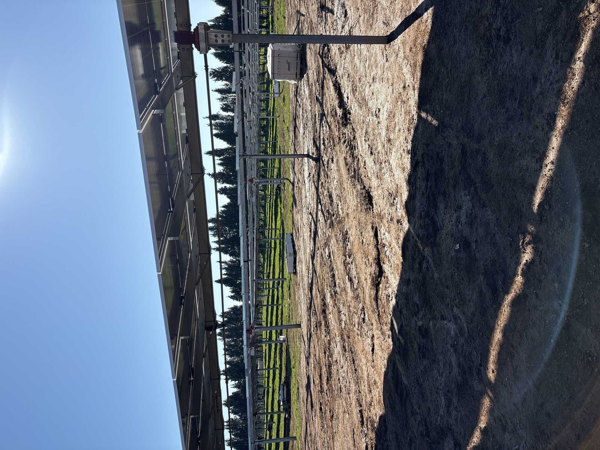 The image depicts a solar panel installation in Galatro, Italy. Solar panels are visible on the left side of the frame, angled towards the clear blue sky. The ground is a mix of bare earth and patches of green grass. Metal support structures for the solar panels extend into the distance, creating a linear pattern. A white box labeled "Jinko Solar" is visible mounted on one of the supports. The right side of the image is dominated by a large shadow, likely cast by the solar panel array. The overall environment appears to be a rural or agricultural setting.
