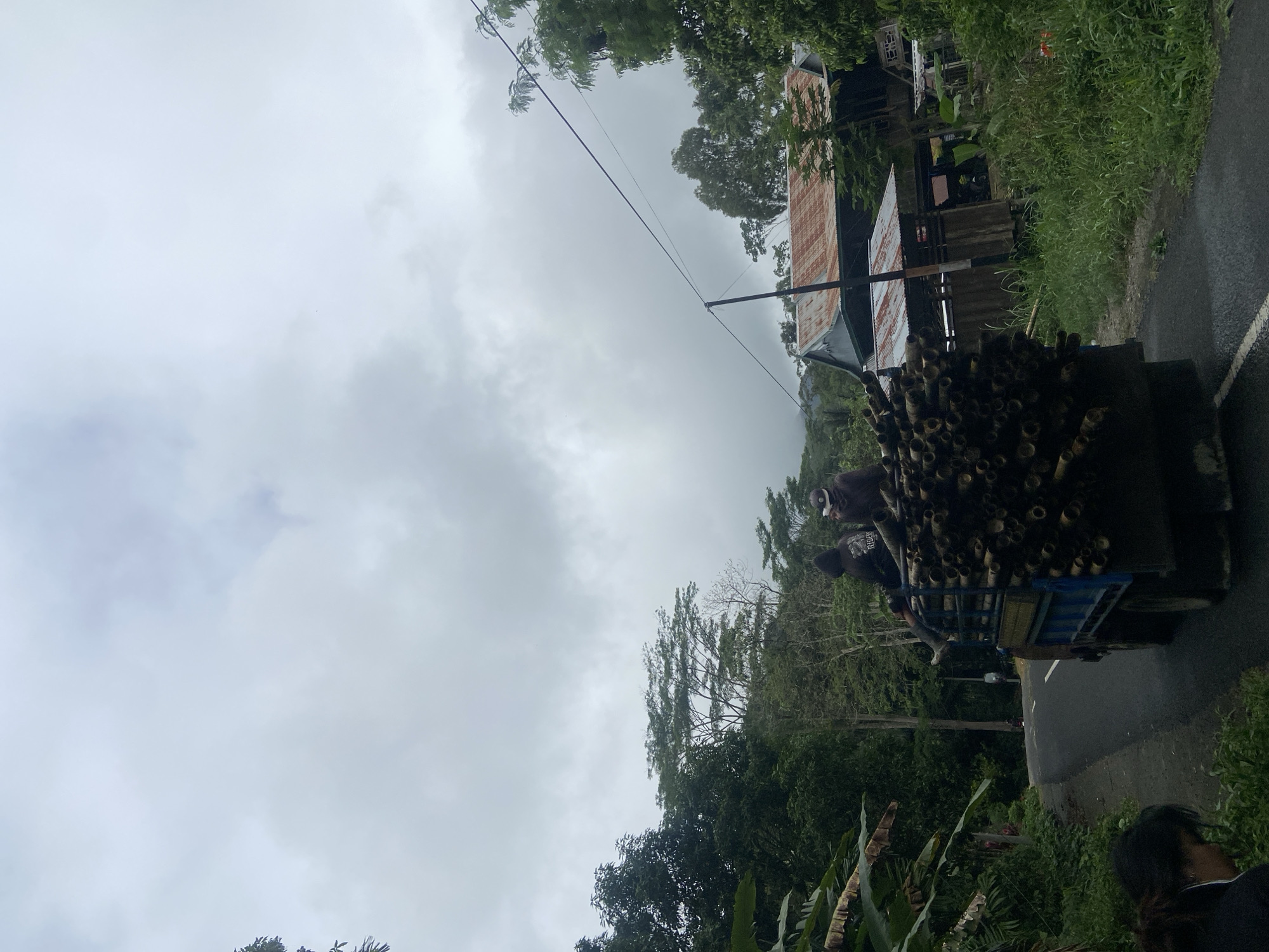 An overcast, daytime shot captures a rural scene in Makale, Indonesia. A blue truck, loaded with a large quantity of cut bamboo, is traveling on a paved road that curves to the left. Two individuals, wearing dark clothing, are seated on top of the bamboo at the rear of the truck. The truck is surrounded by lush greenery, including trees and foliage. In the background, a cluster of buildings with rusty metal roofs are visible. A power line stretches across the frame, supported by a pole. Another person, with dark hair, is partially visible in the foreground, to the left of the road.