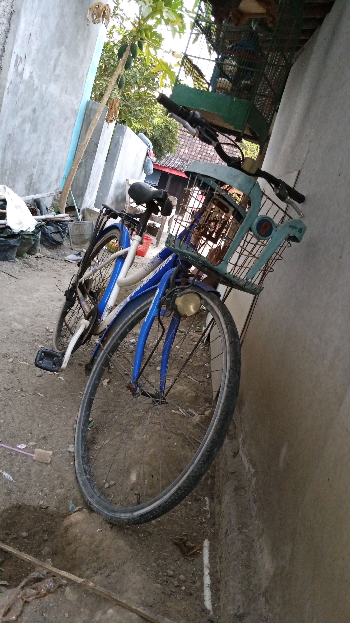 Memory