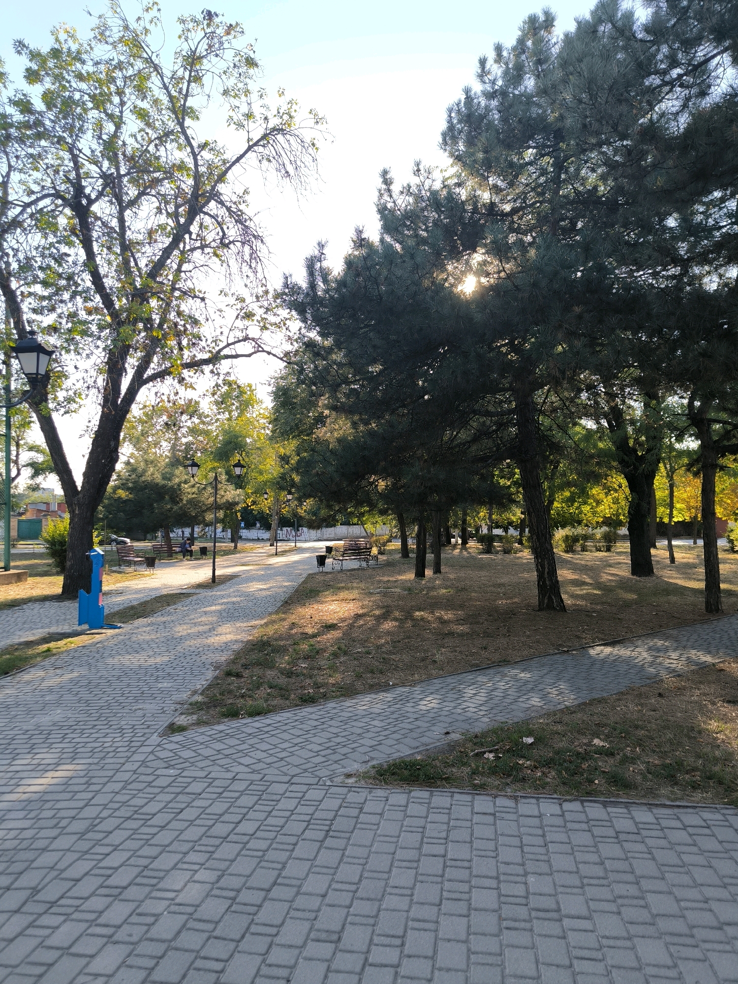 The image depicts a park pathway in Mykolaiv, Ukraine. The pathway is paved with grey interlocking bricks and is bordered by dry grass and trees. In the background, there are more trees, some with green foliage and others with yellowing leaves, suggesting it might be autumn. Several park benches are visible along the pathway, and a person is seated on one of them. Street lamps are also scattered throughout the park. The sun is shining, casting shadows from the trees onto the ground. A blue trash receptacle is located near the pathway on the left side of the image. The overall scene is calm and serene.