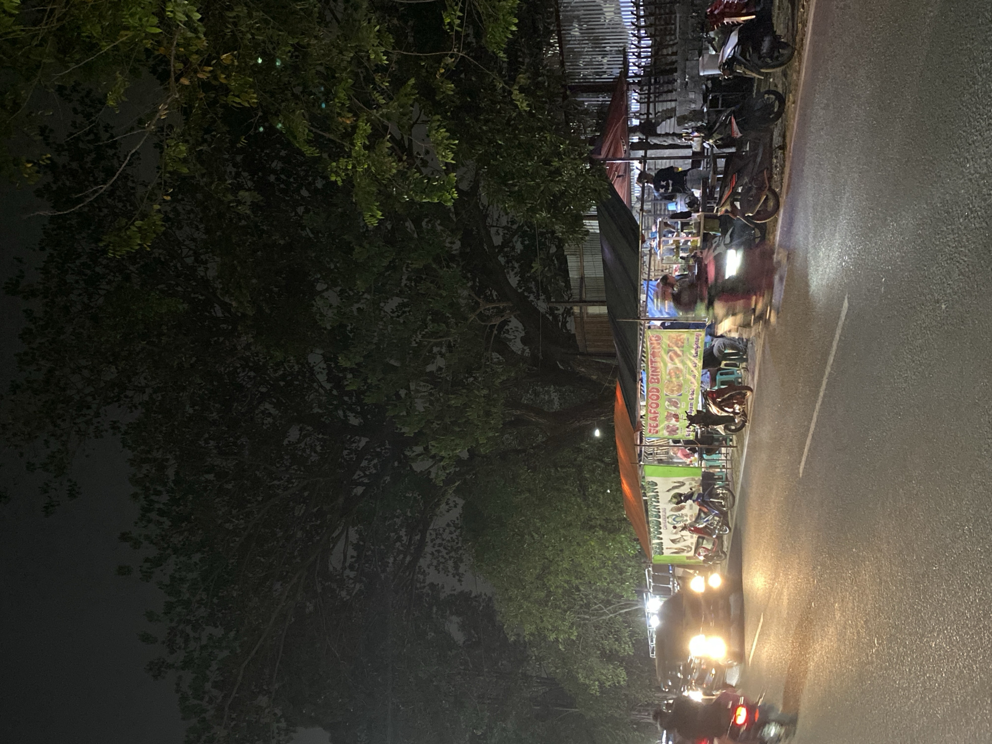 In Tangerang, Indonesia, this nighttime street scene depicts a busy road adjacent to a row of food stalls. The stalls are illuminated, featuring banners that read "SEA FOOD BINTANG" with images of seafood. Several motorcycles are parked and in motion, with one vehicle's headlights creating a bright glow on the asphalt. People are visible at the food stalls, some appearing to be customers and others likely vendors. The environment includes large trees with dense foliage overhead, casting shadows and contributing to the dark, atmospheric lighting of the scene. The road is paved and marked with white lines.