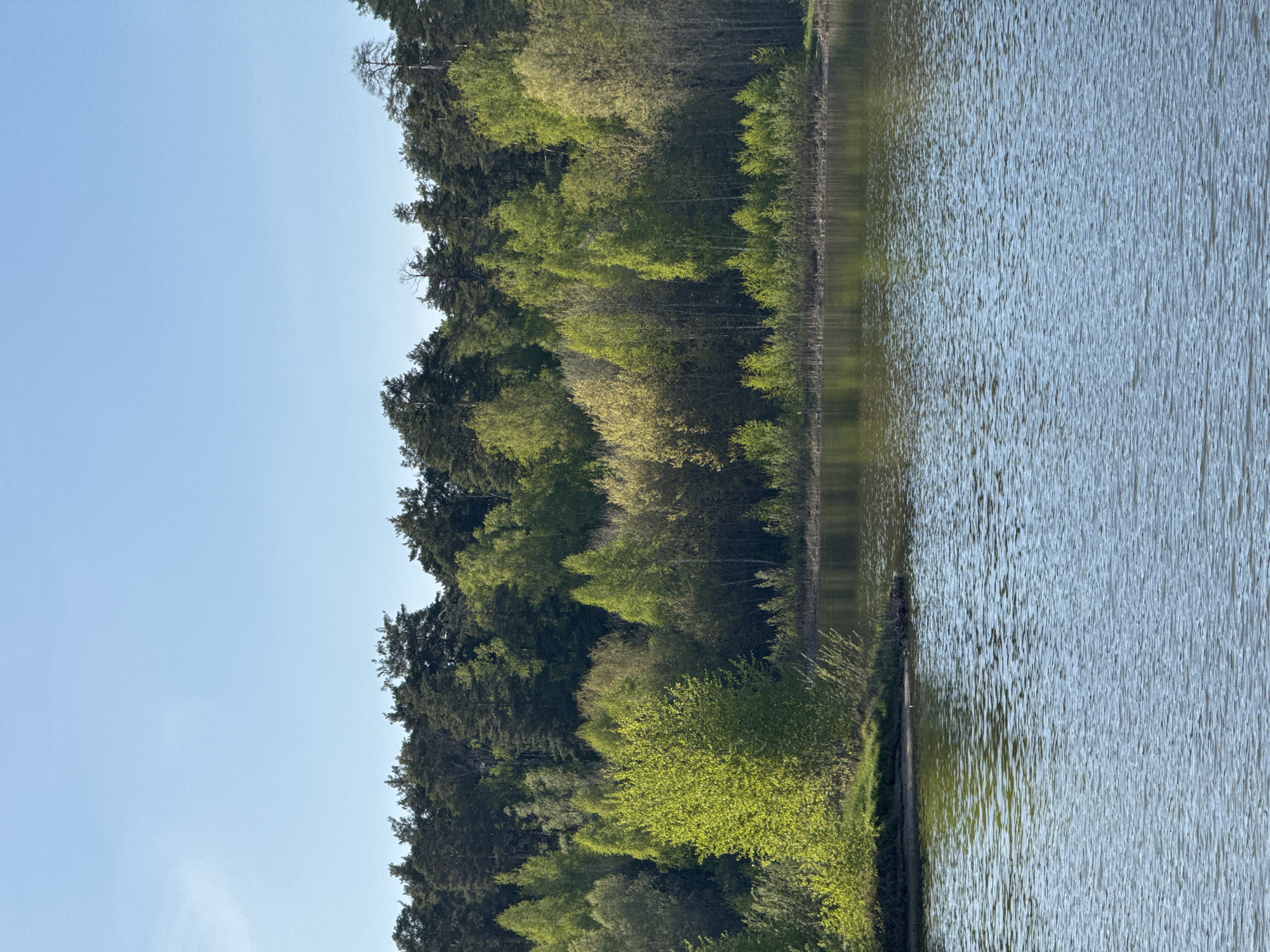 The image shows a body of water, likely a lake, bordered by a dense forest. The water is reflecting the sky and the trees. The sky is a clear, light blue. The trees are various shades of green, indicating different species or stages of growth. The location is potentially near Kazan, Russia.