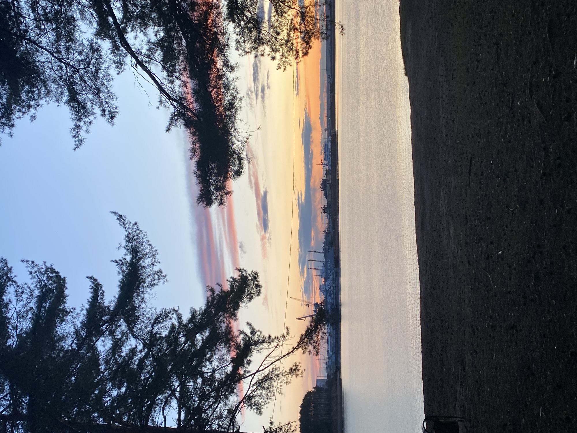 The image captures a serene waterfront scene at either sunrise or sunset, presenting a tranquil landscape with a vibrant sky. Dark silhouettes of pine or coniferous tree branches frame the view from the top and left, their intricate patterns contrasting against the softly lit sky.
The sky is a focal point, displaying a beautiful gradient of colors. It transitions from a clear light blue at the top to warm hues of orange, yellow, and pink closer to the horizon, interspersed with elongated clouds that reflect these warm and cool tones, some appearing lavender or gray.
The lower half of the image features a calm body of water, likely a river or large lake, which subtly reflects the ambient light from the sky. On the distant opposite bank, a low-lying horizon reveals the faint outlines of an industrial or urban area. Several tall structures resembling cranes and buildings are visible against the colorful sky. Notably, on a large vessel or structure located on the far bank, white text reads "LUGA SPEED".
To the far right foreground, a dark, textured landmass or bank is visible, also in silhouette. The scene suggests a peaceful natural environment bordering a developed area, characteristic of a location like Chaikovsky, Russia, which is situated on the Kama River and Votkinsk Reservoir. No specific activity or event is taking place; the photograph primarily highlights the natural beauty of the twilight hour.